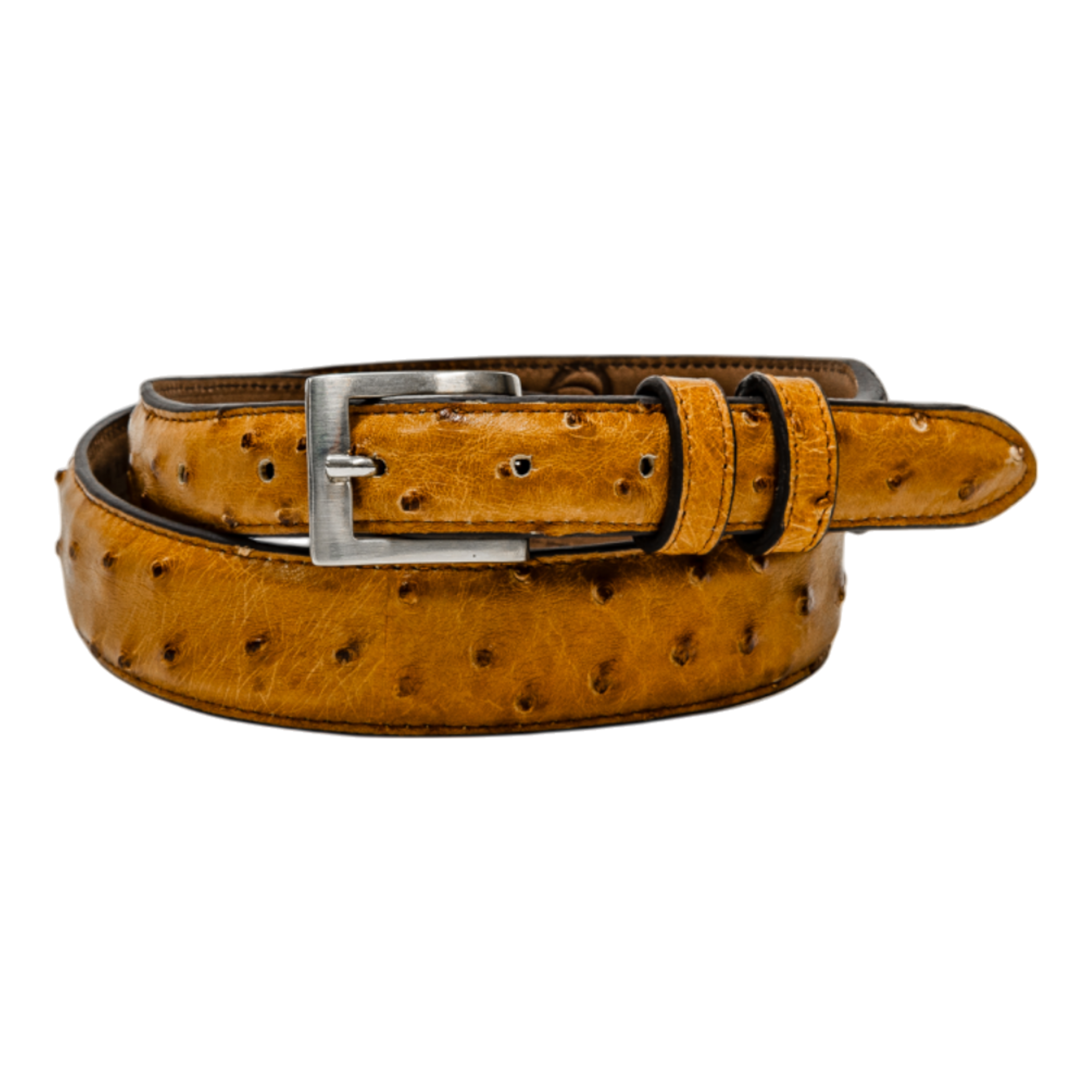 Belt 1.25 Taper - Mad Dog Saddle Full Quill Ostrich