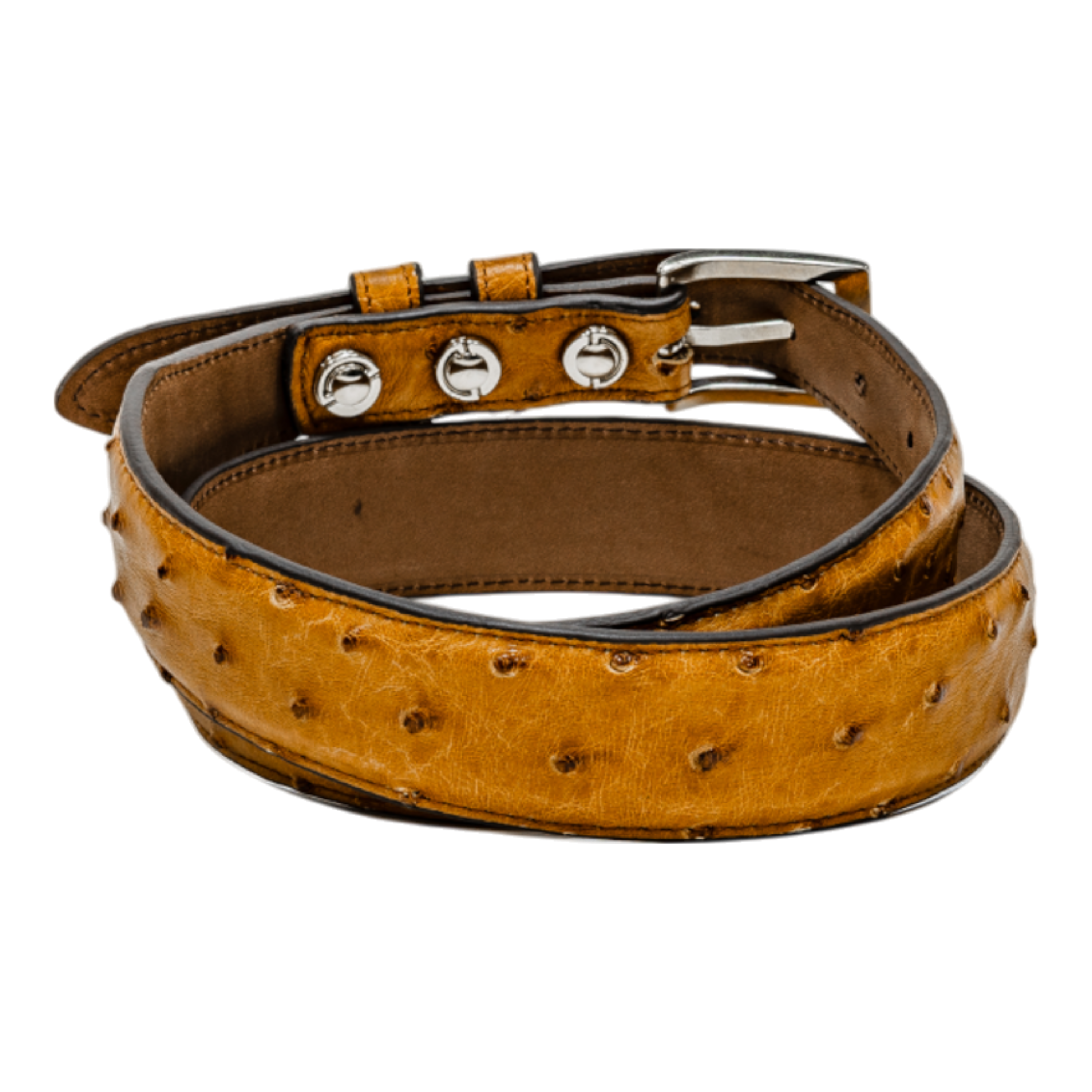 Belt 1.25 Taper - Mad Dog Saddle Full Quill Ostrich