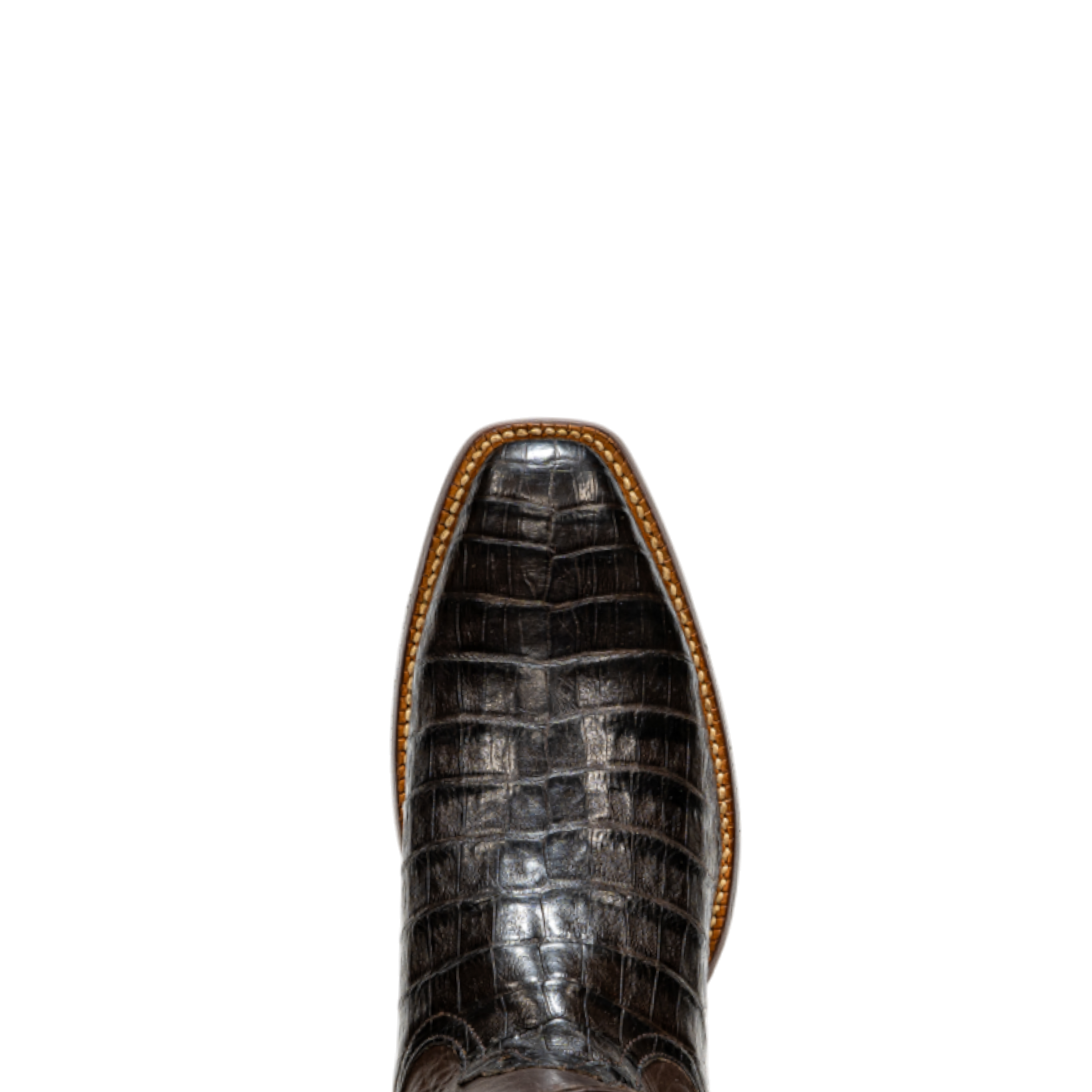 17829 Garment Choc Belly Caiman
