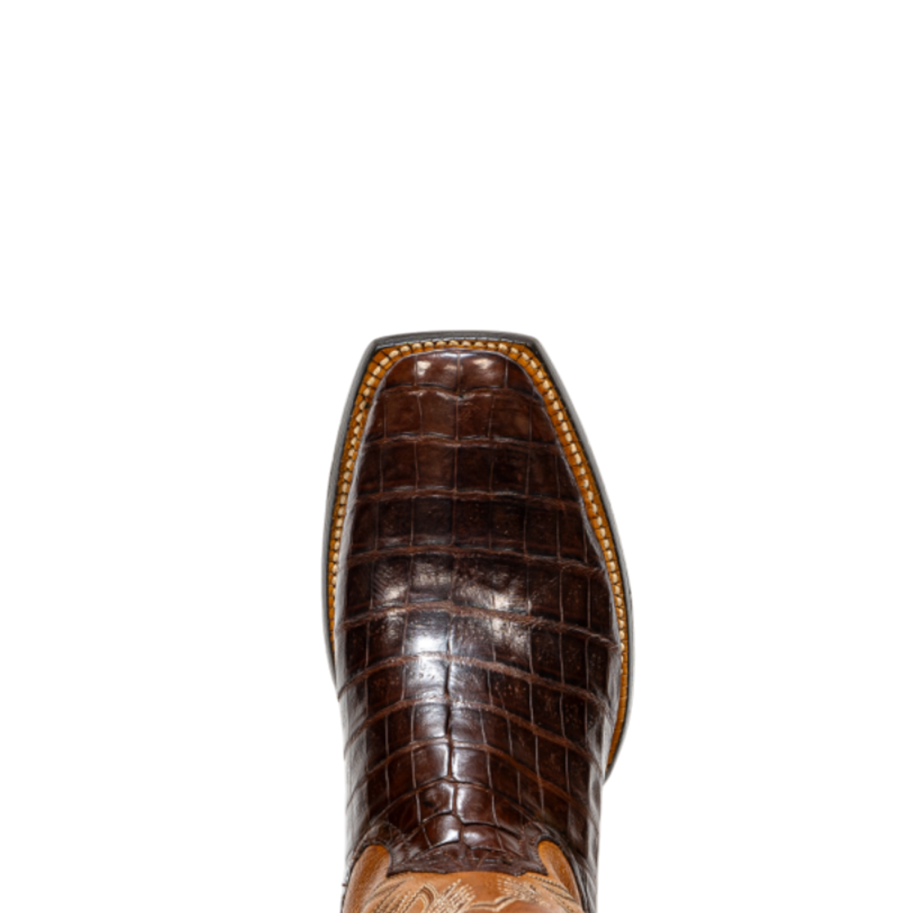 Rod Patrick 19942 CIGAR CAIMAN BELLY (A)