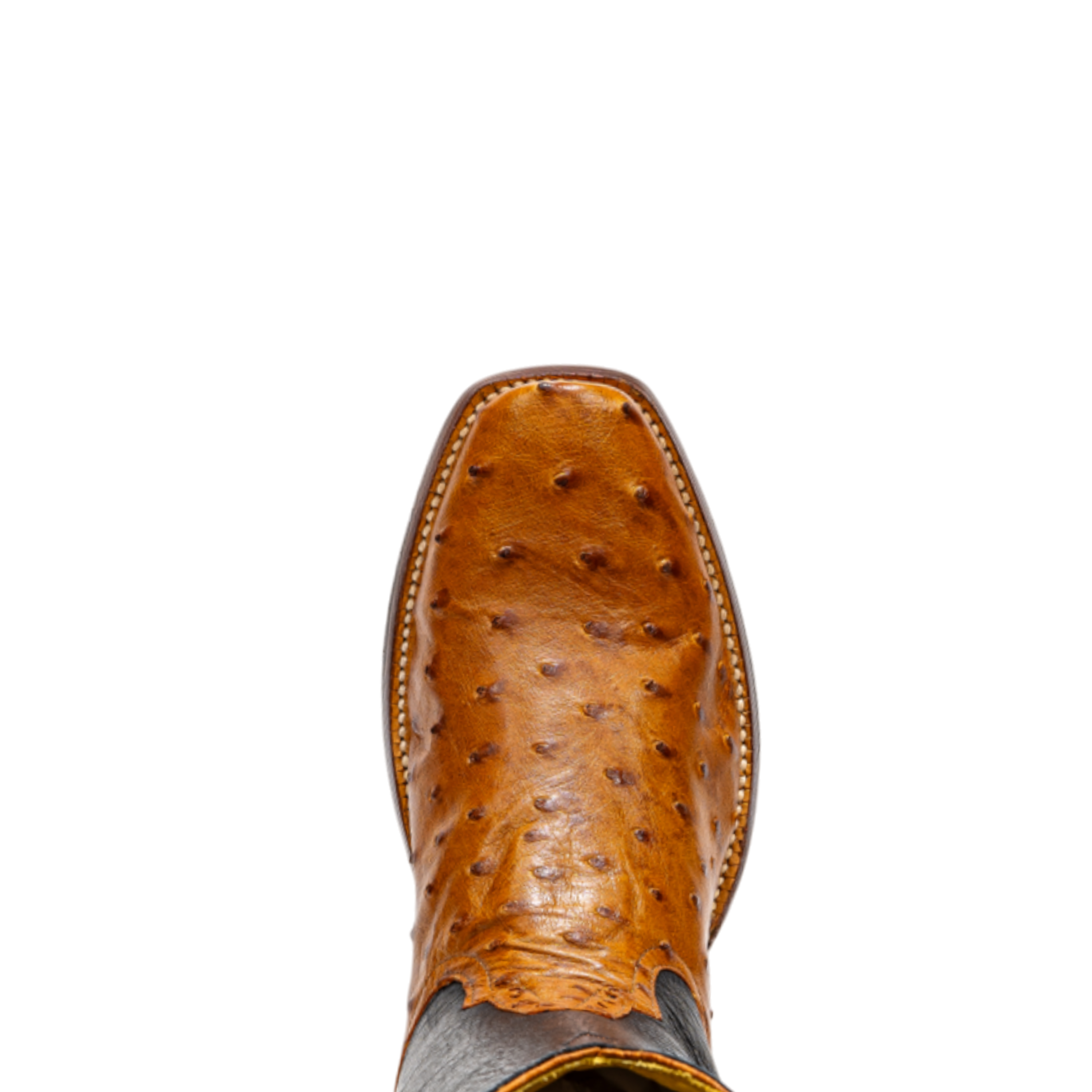 ROD PATRICK RPM186 CC BRANDY FULL QUILL OSTRICH (B)