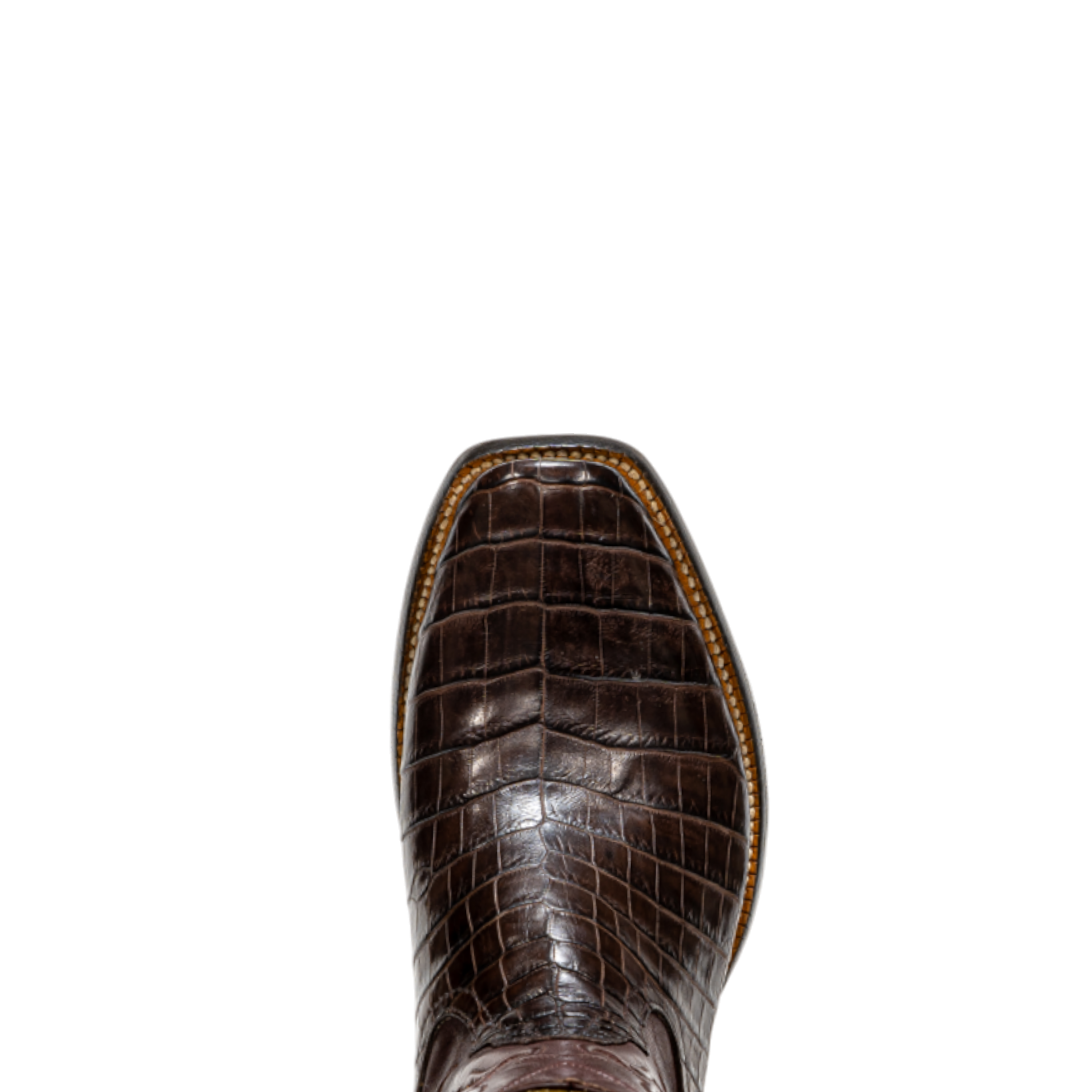 Rod Patrick RPM607 CIGAR CAIMAN BELLY (A)