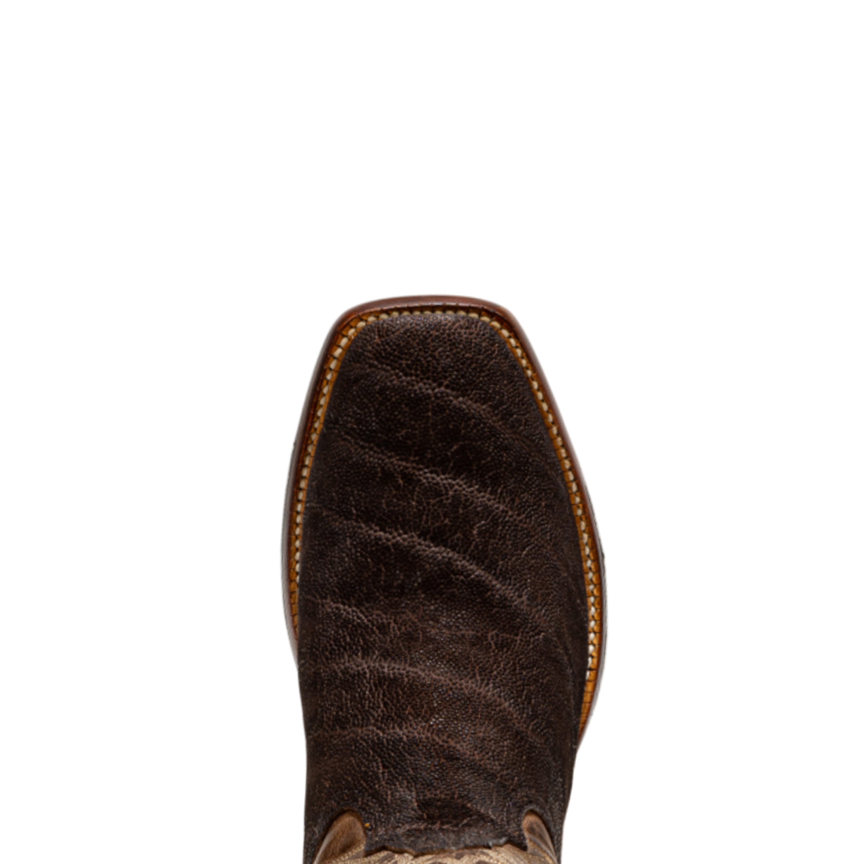 ROD PATRICK 19868 CHOCOLATE ELEPHANT (D)