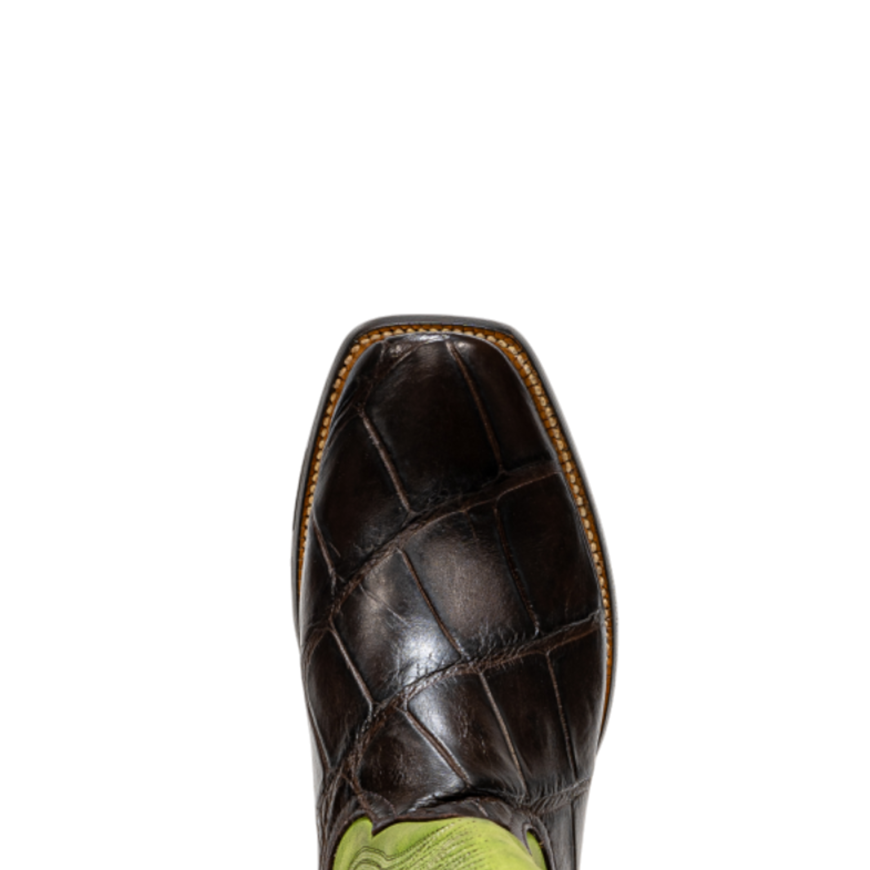 ROD PATRICK RPM603 CHOC WILD AM ALLIGATOR (EE)