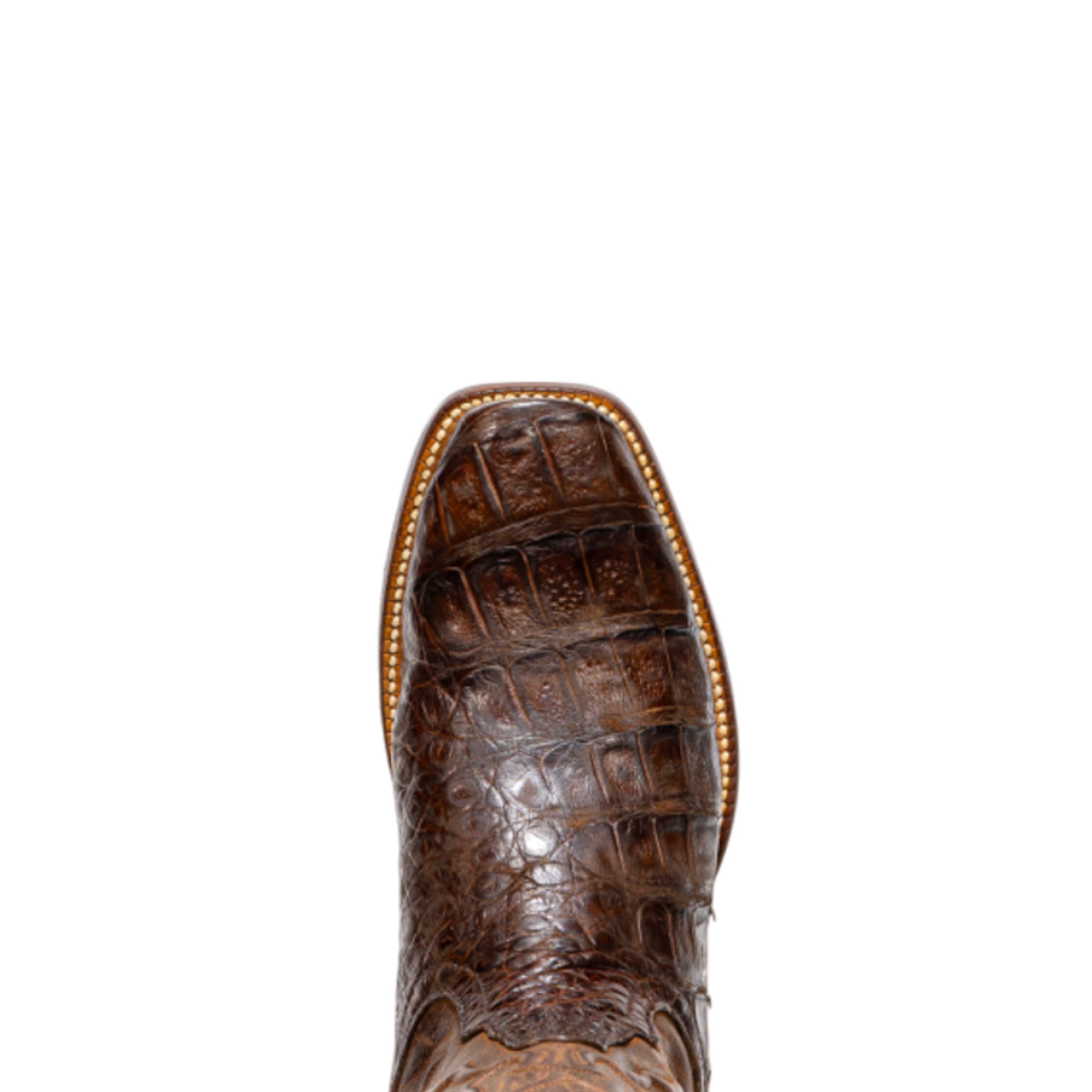 Rod Patrick RPM162 OLD COFFEE G FUSCUS (B)