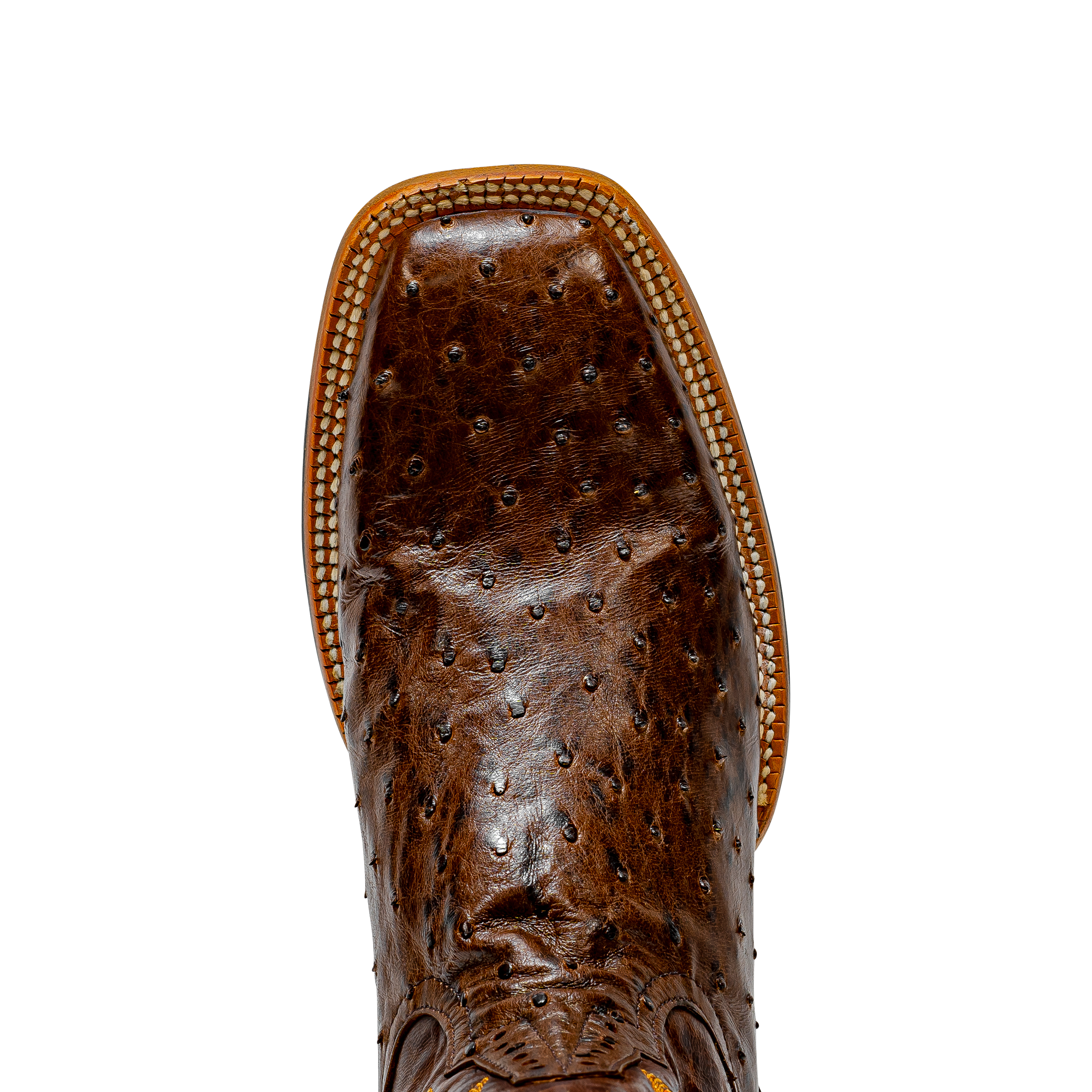 Rod Patrick RPM119 KANGO TOBAC FULL QUILL OSTRICH (AAAA)