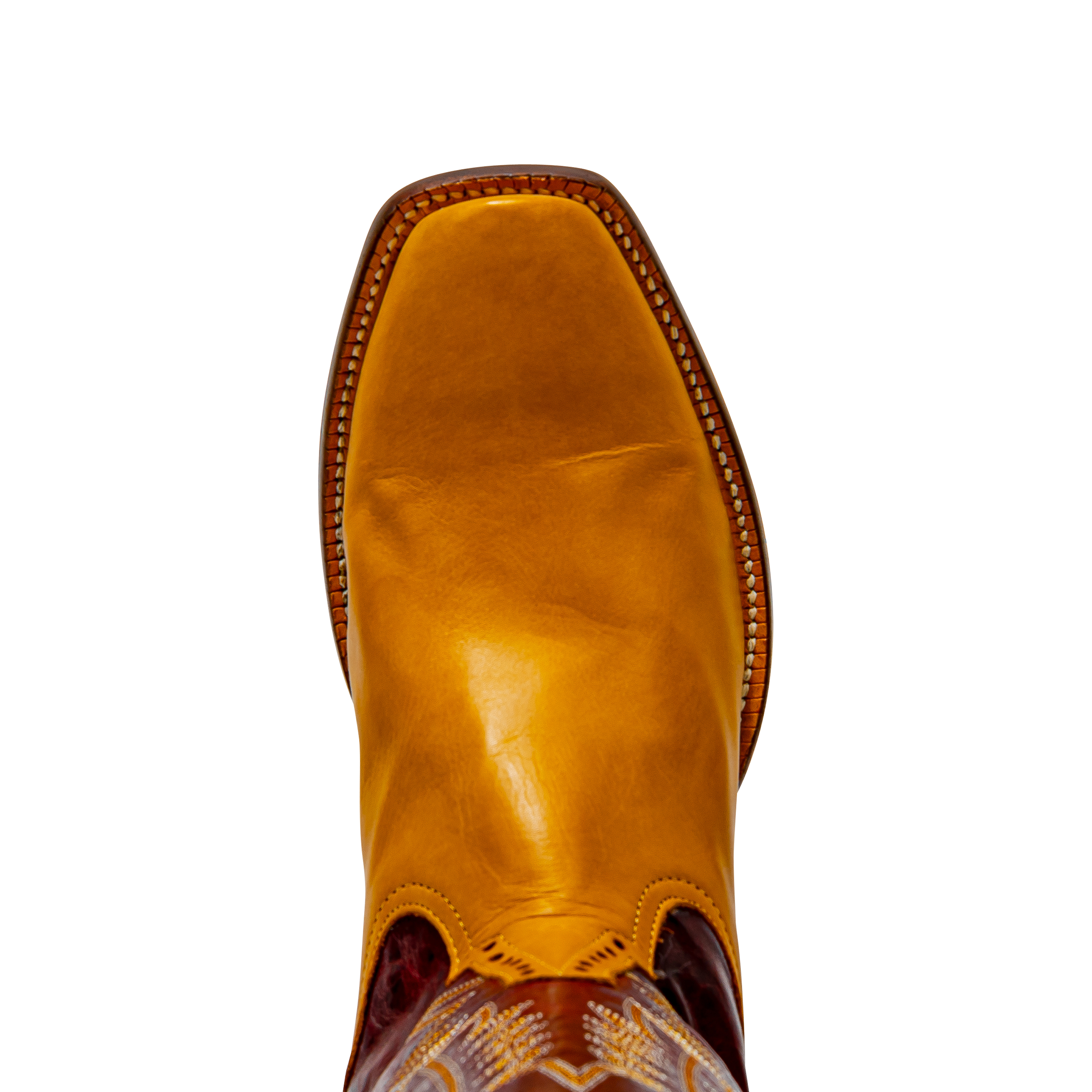 Rod Patrick RPM375 HONEY CAYUSE (D)