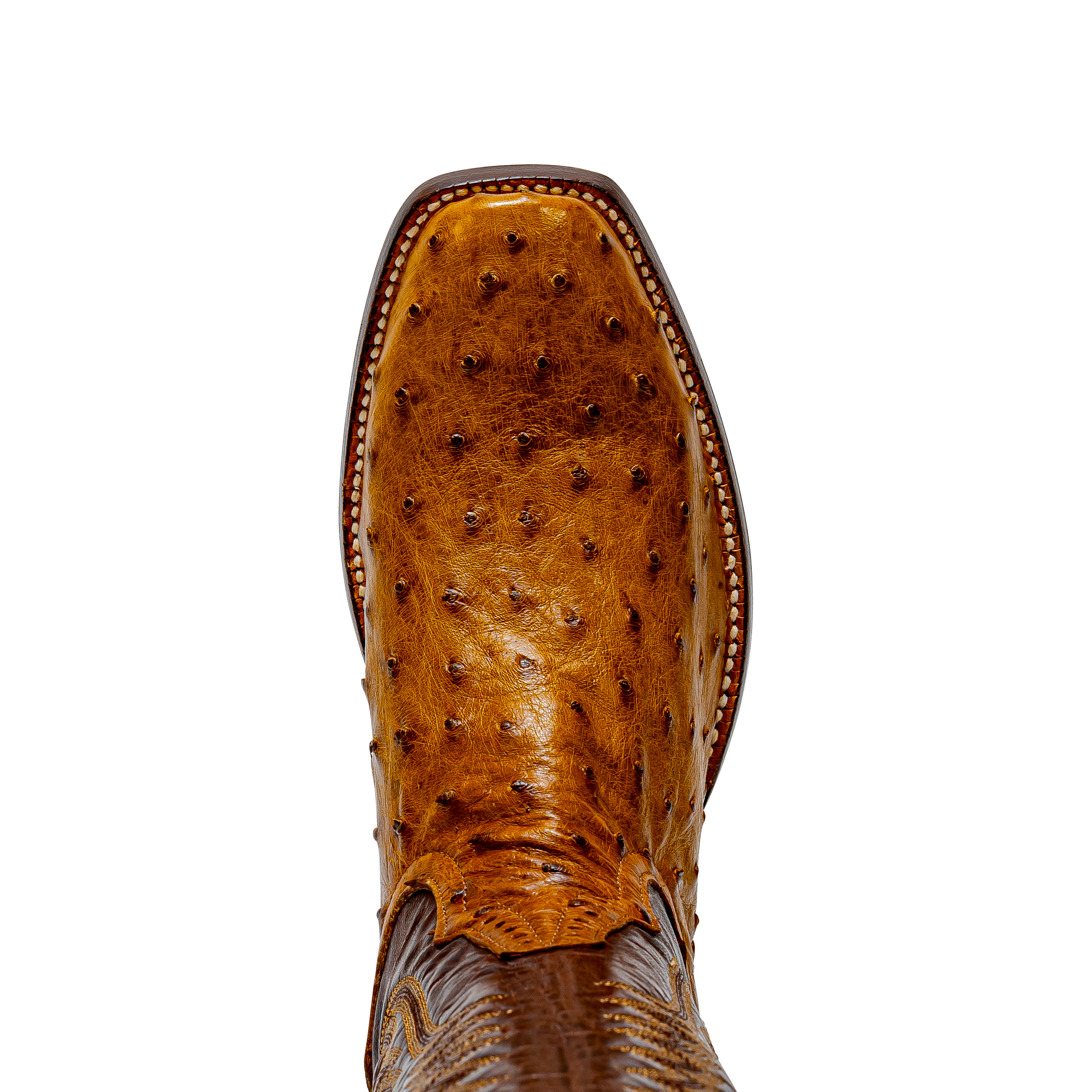 Rod Patrick RPM509 ANTIQUE SADDLE FULL QUILL OSTRICH (C)