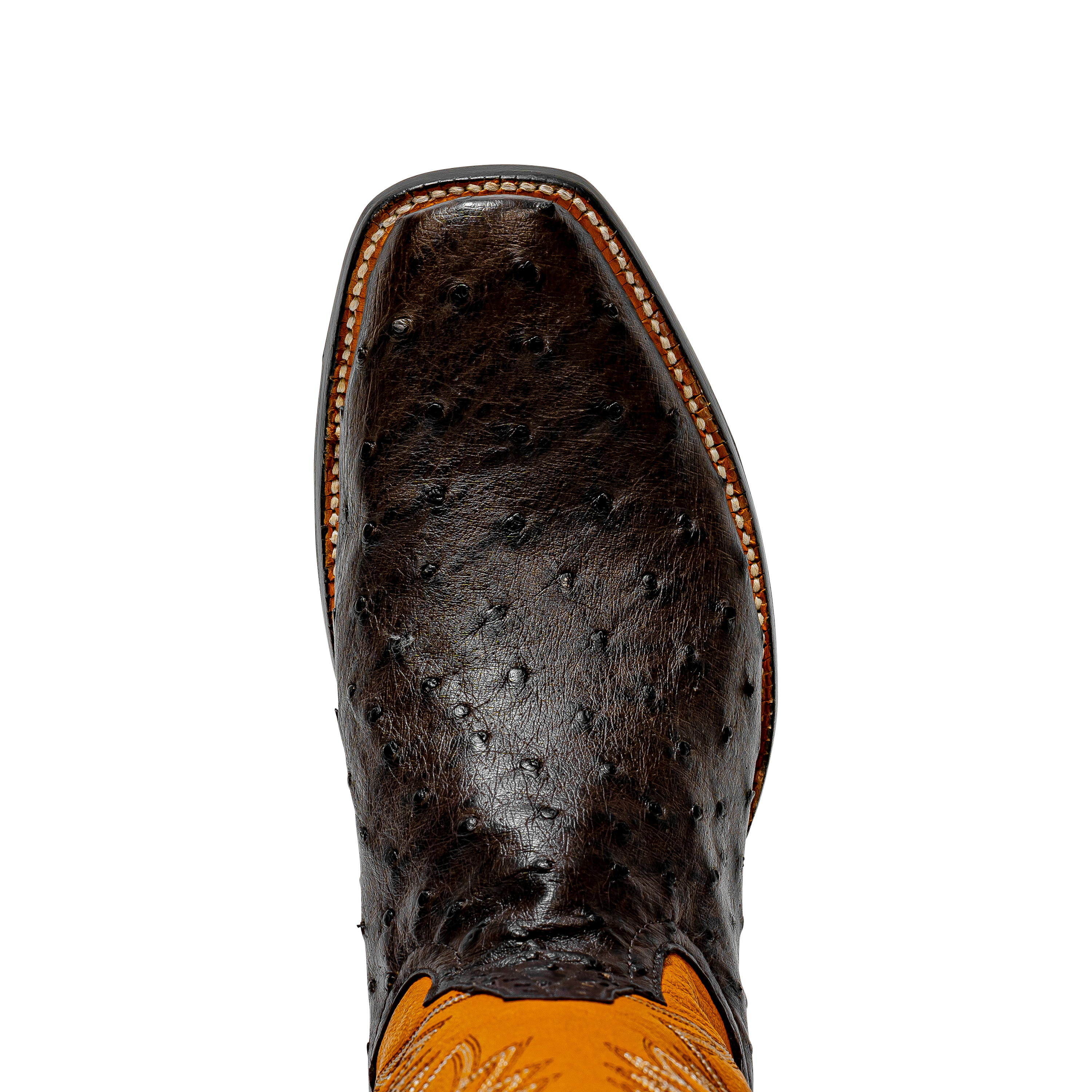 Rod Patrick RPM510 NICOTINE FULL QUILL OSTRICH (D)