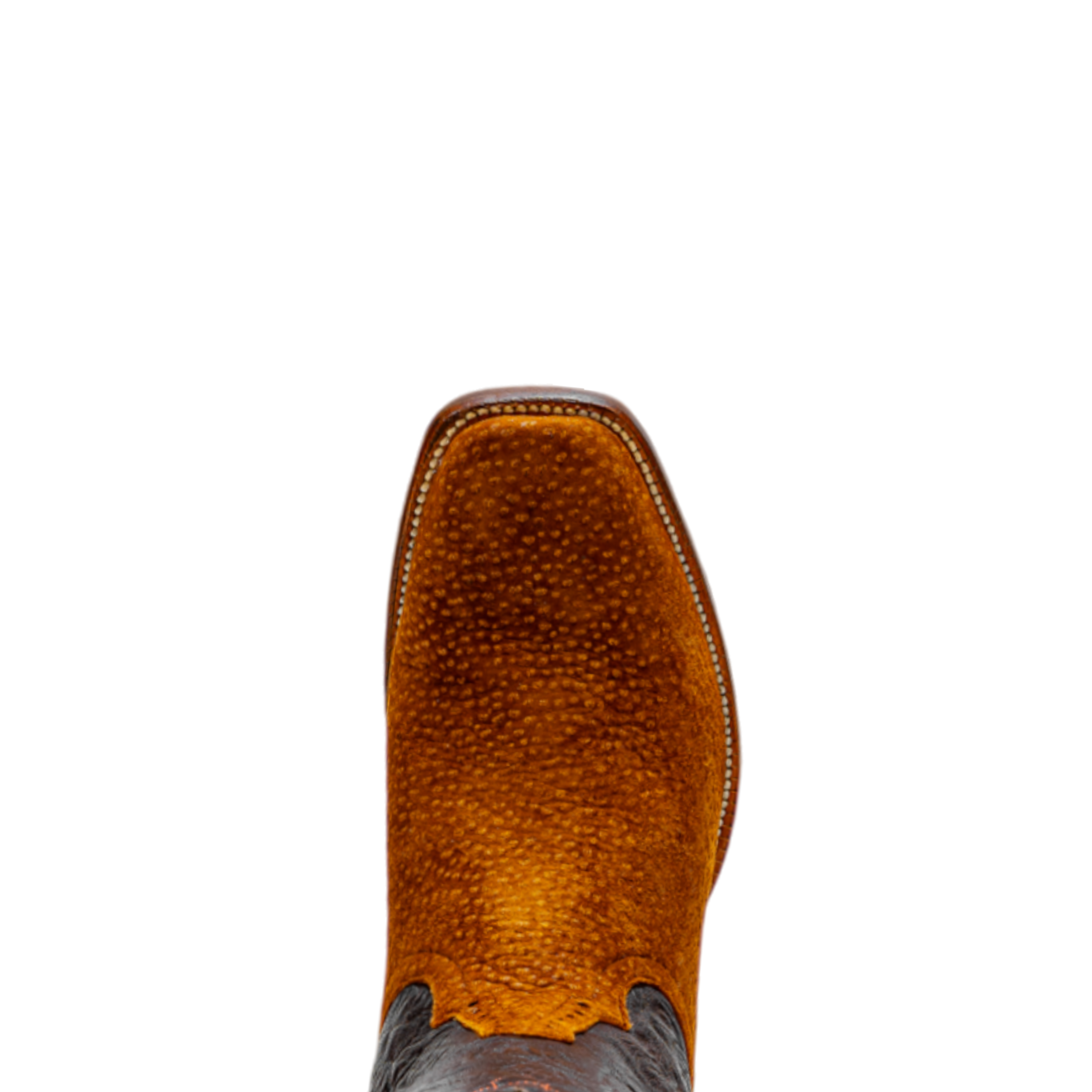 Rod Patrick RPM151 RUST CARPINCHO (EE)