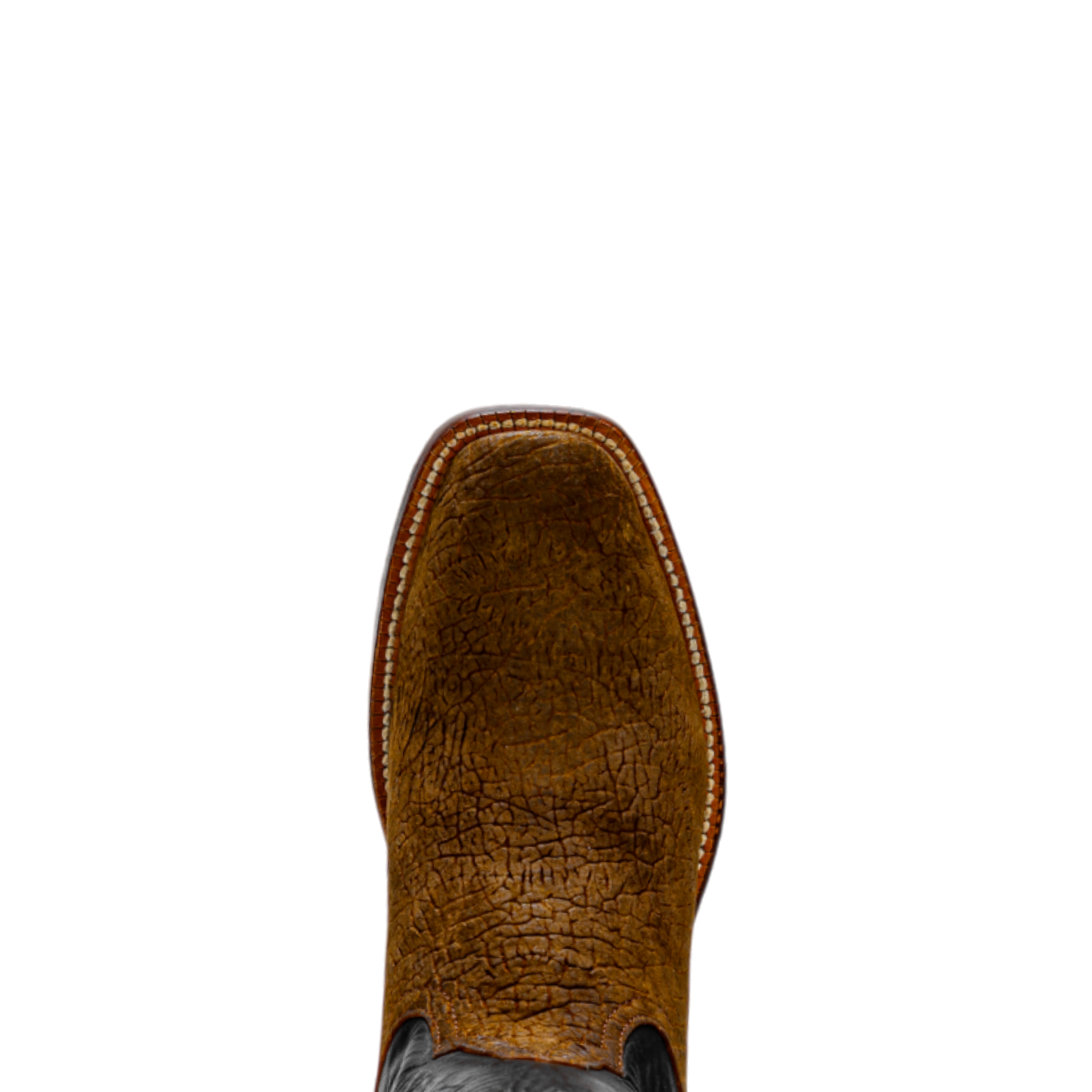 Rod Patrick RPM144 HONEY HIPPO (B)