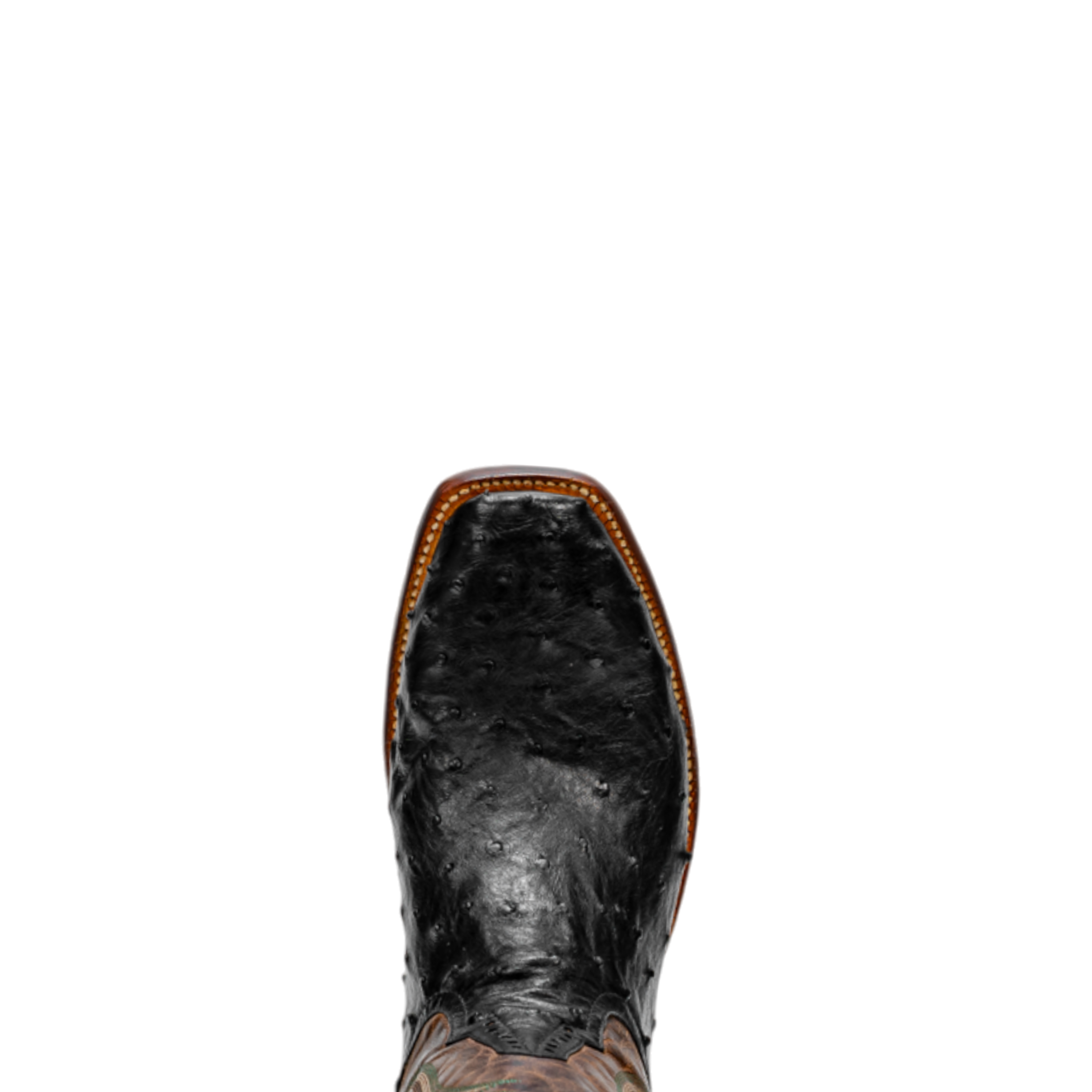 Rod Patrick RPM602 BLACK FULL QUILL OSTRICH (A)