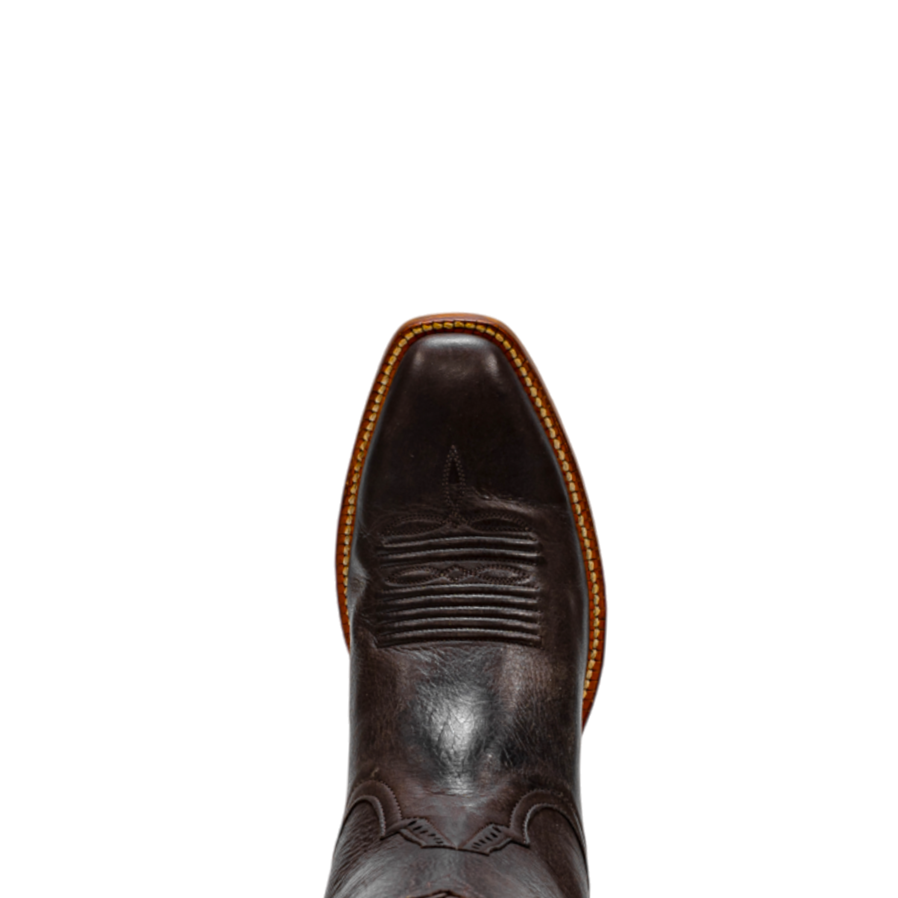 Rod Patrick RPM135 CHOCOLATE CAYUSE (D)