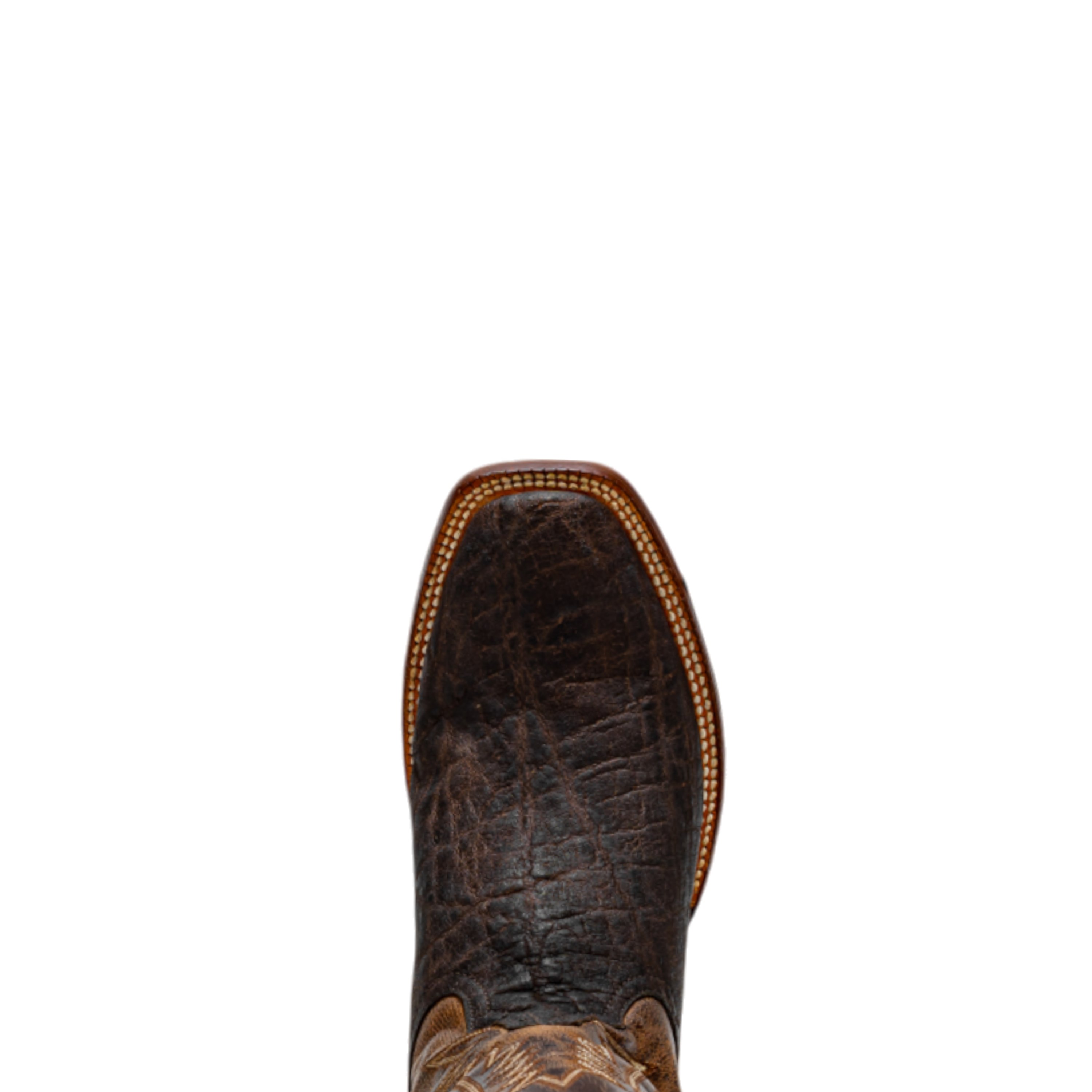 Rod Patrick RPM202 CHOCOLATE ELEPHANT (D)