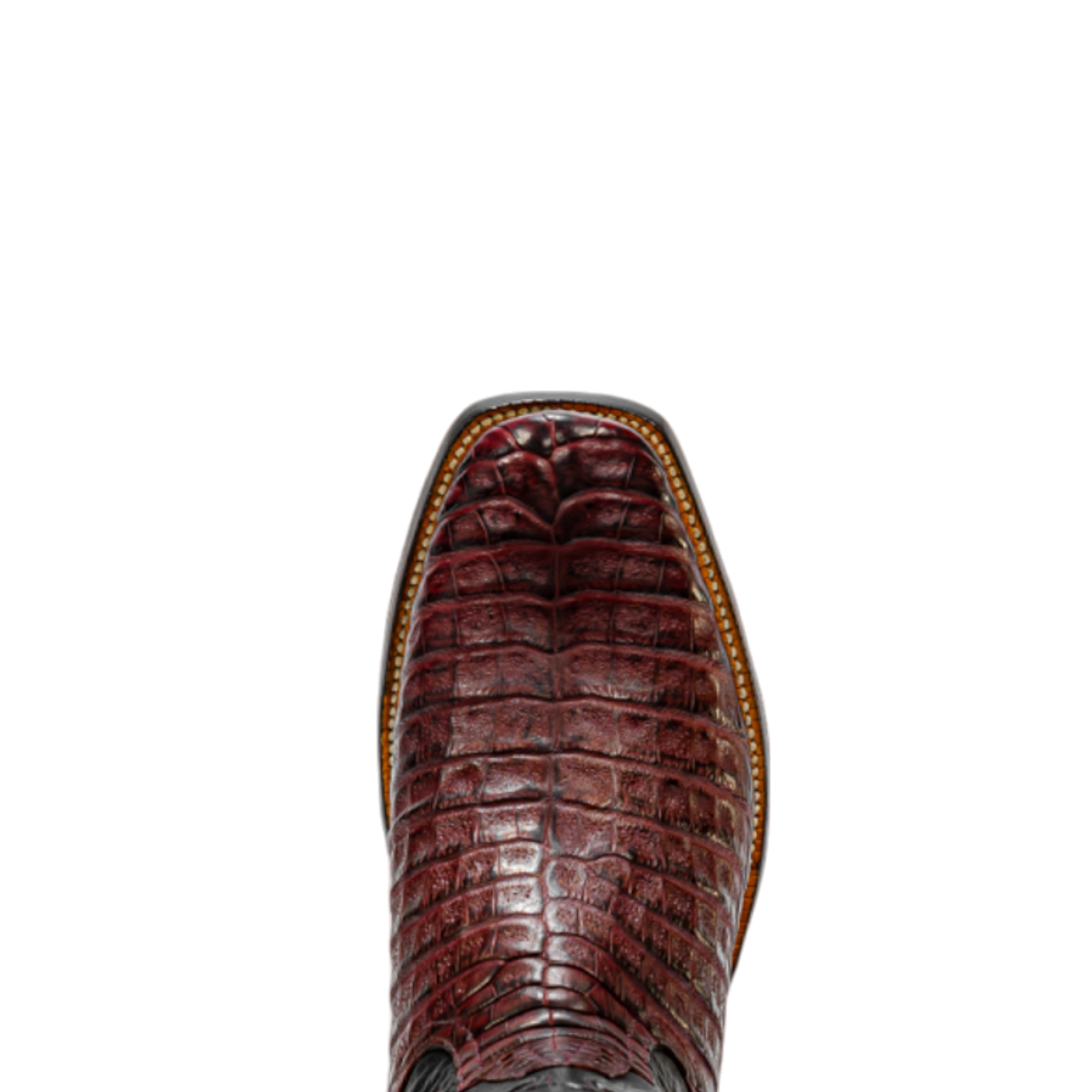 ROD PATRICK 19845 BORDEAUX BELLY CAIMAN (A)