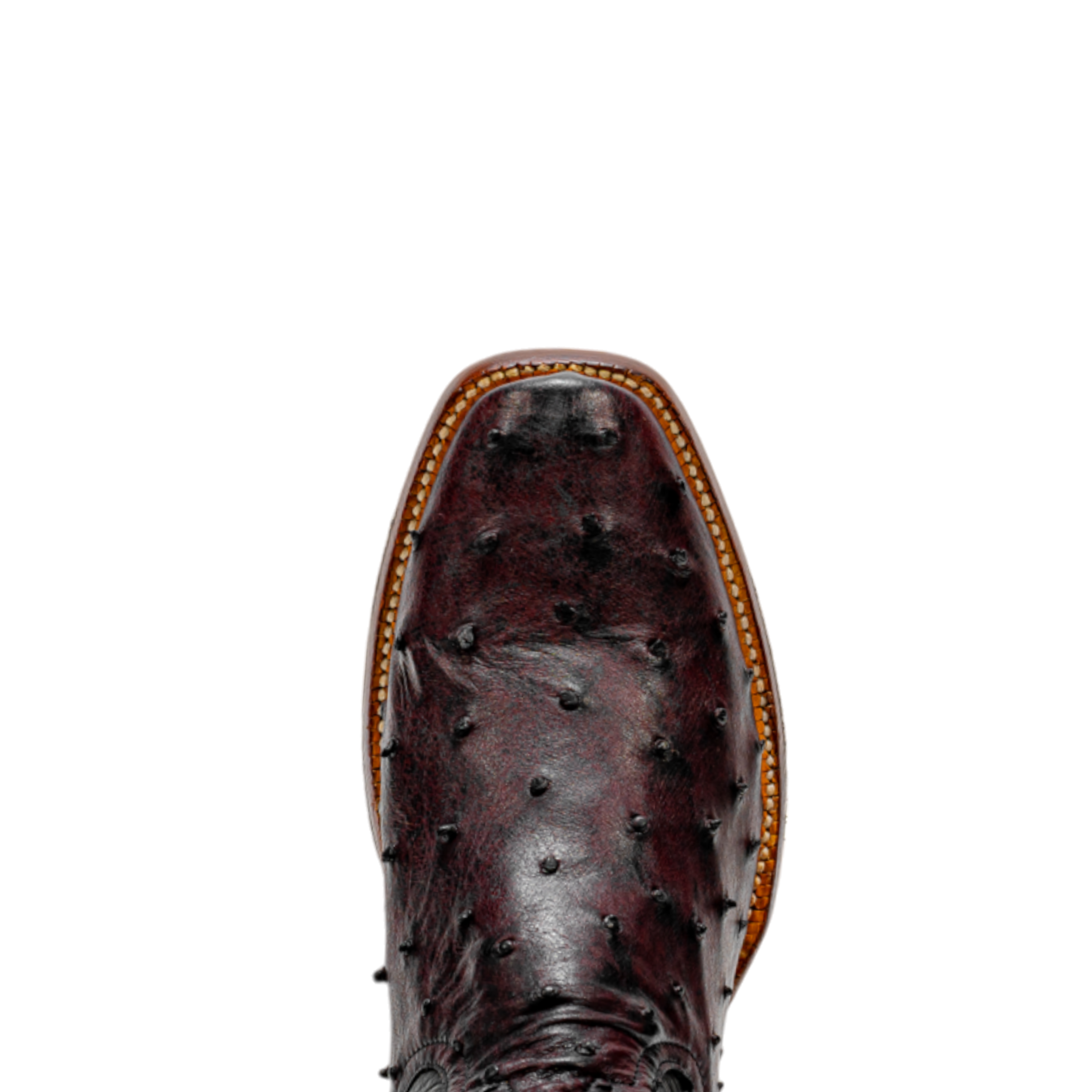 ROD PATRICK 19849 BLACK CHERRY FULL QUILL (AA)