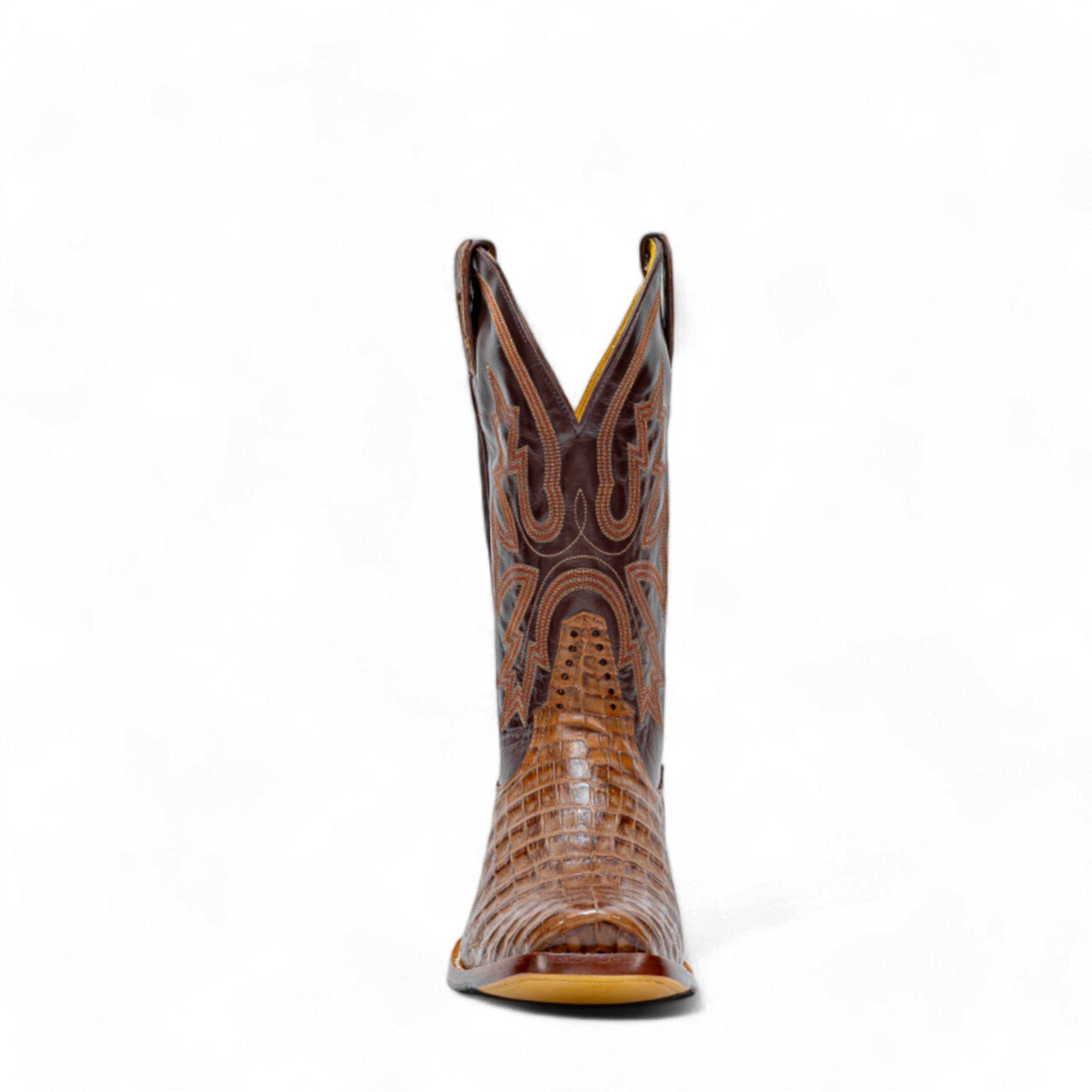 ROD PATRICK 19846 NATURE NUEZ CAIMAN (B)