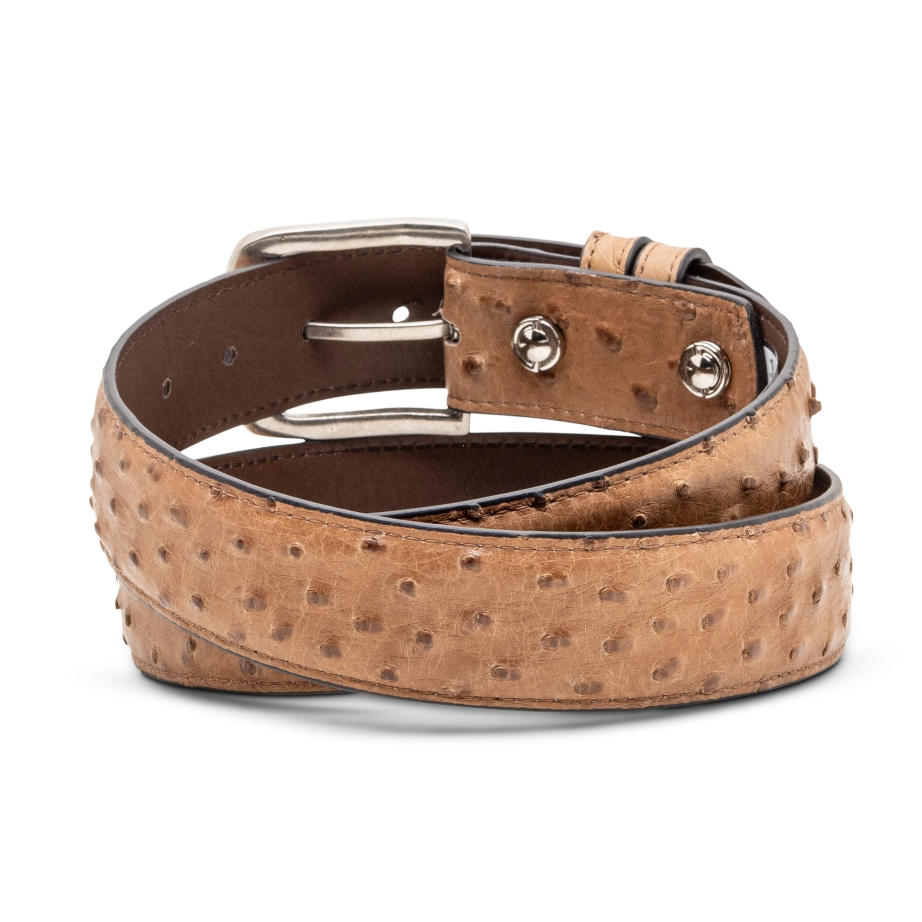 Belt 1.5 Straight - Mad Dog Saddle Full Quill Ostrich