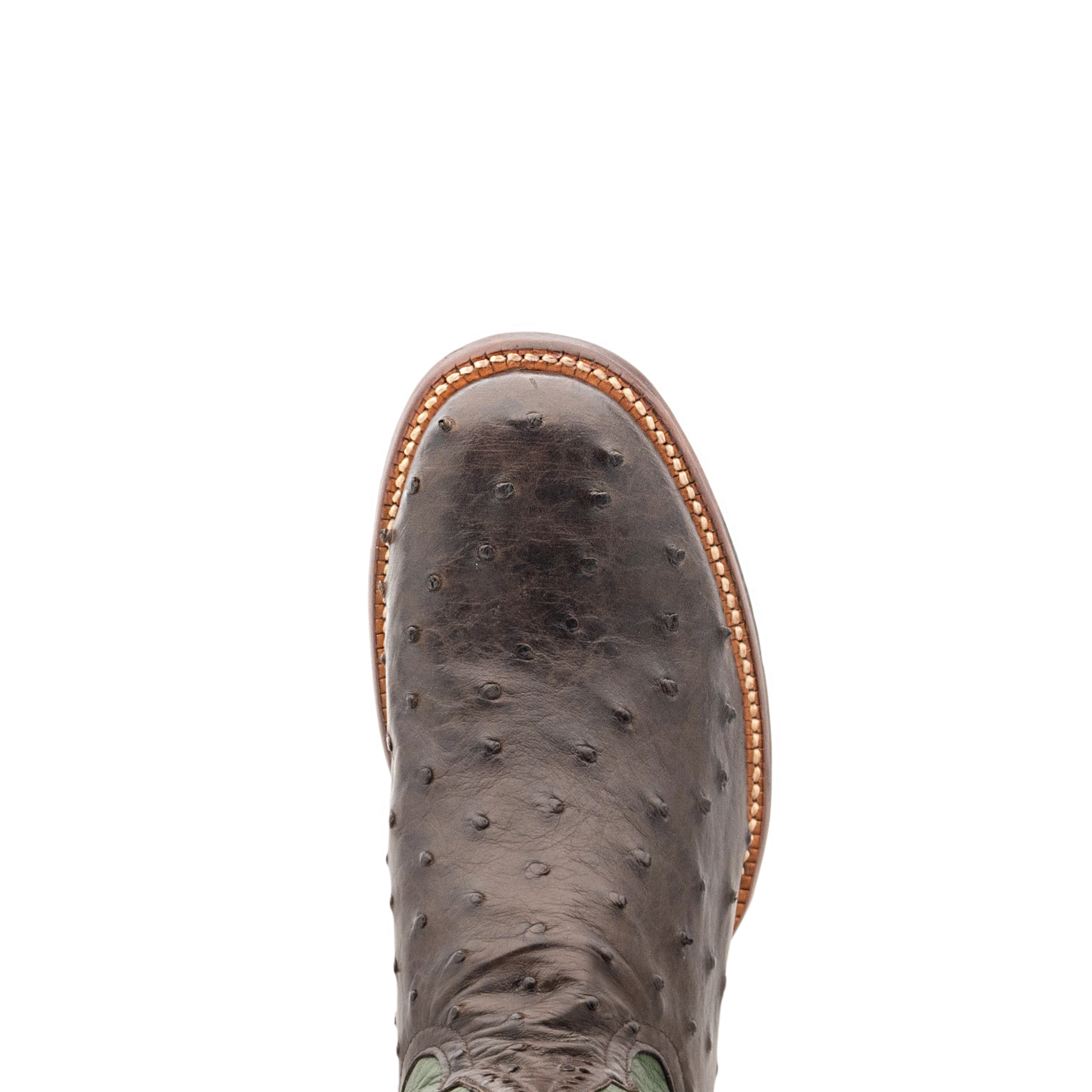 ROD PATRICK RPM185 Nicotine CC FQ Ostrich (EE)