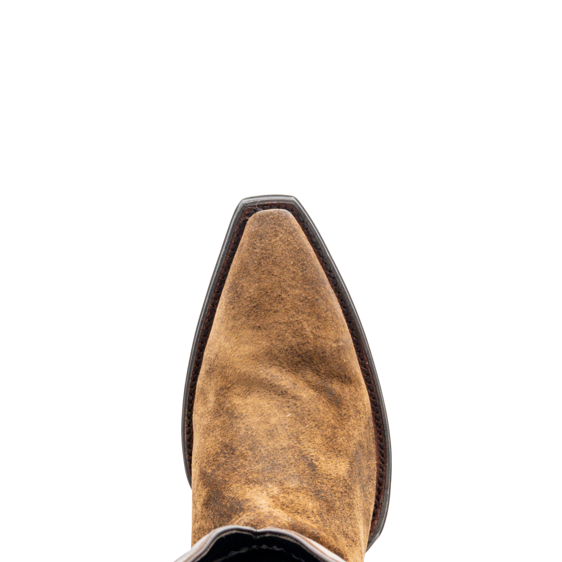 19852 CAMEL BREAK LAMB