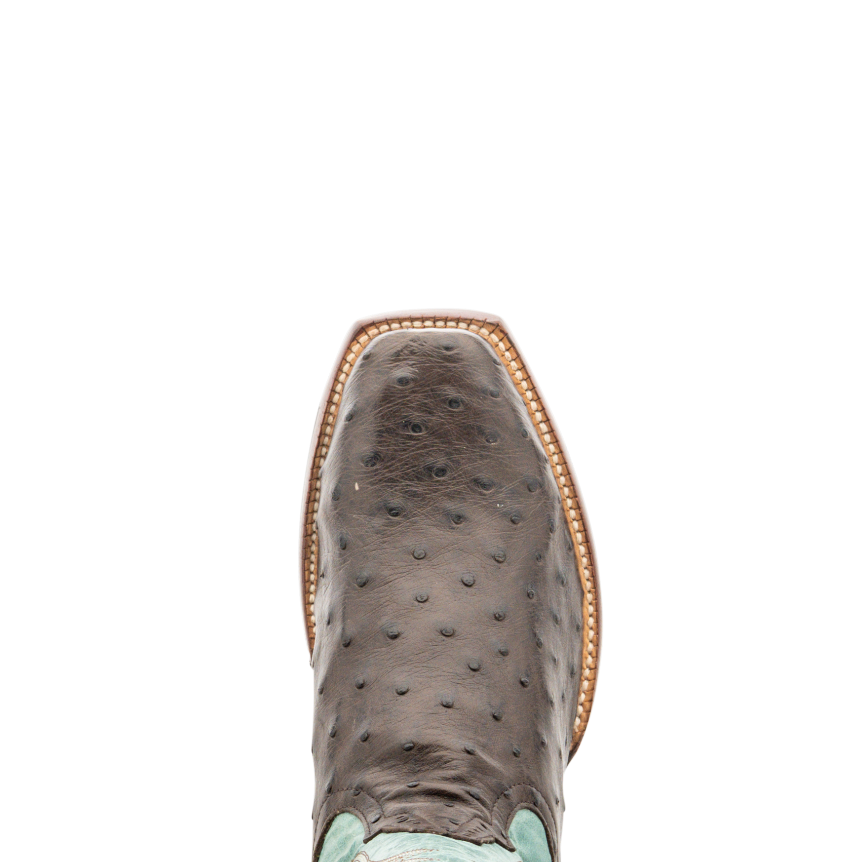 ROD PATRICK RPM474 NICOTINE FULL QUILL OSTRICH (A)