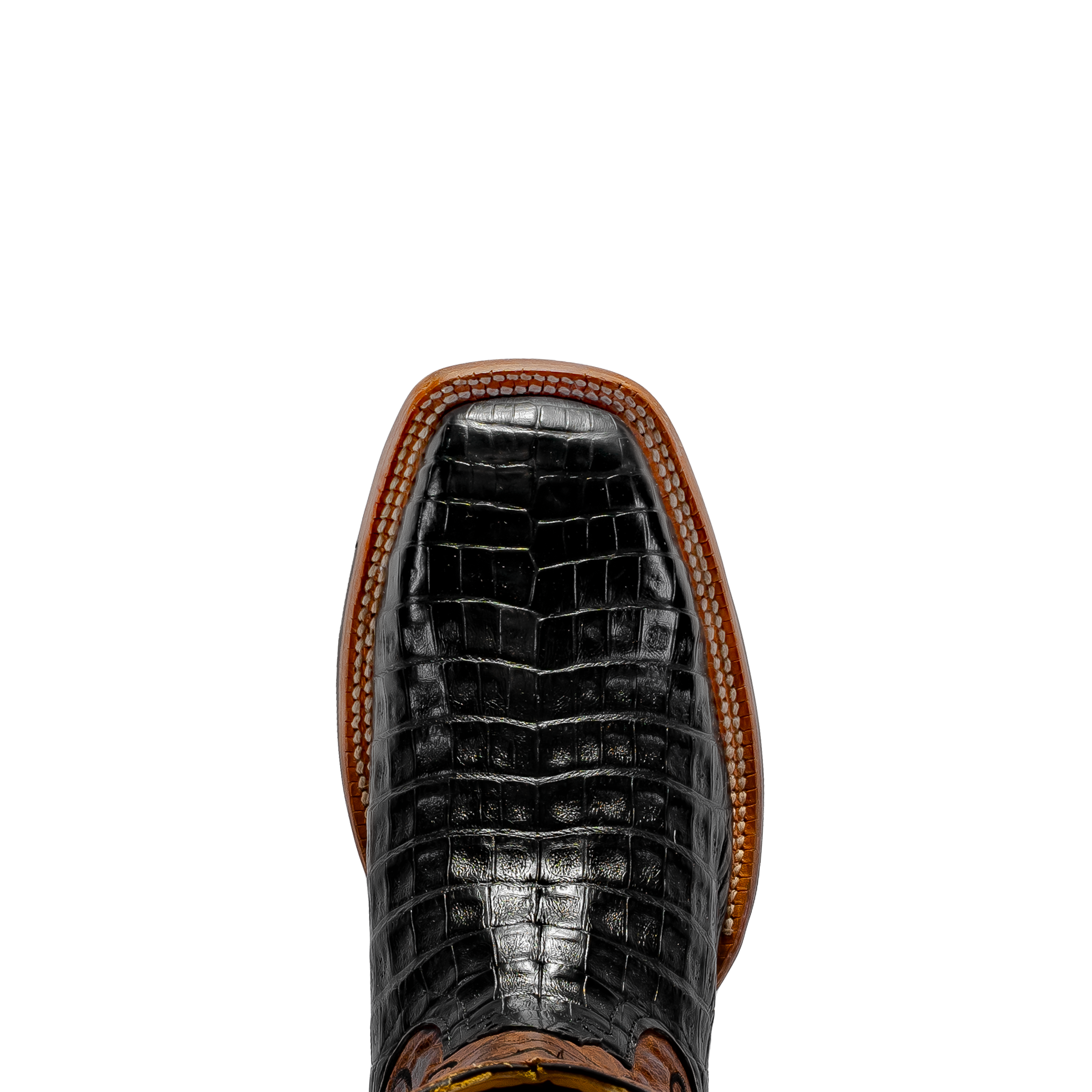 Rod Patrick RPM114 BLACK CAIMAN BELLY (C)