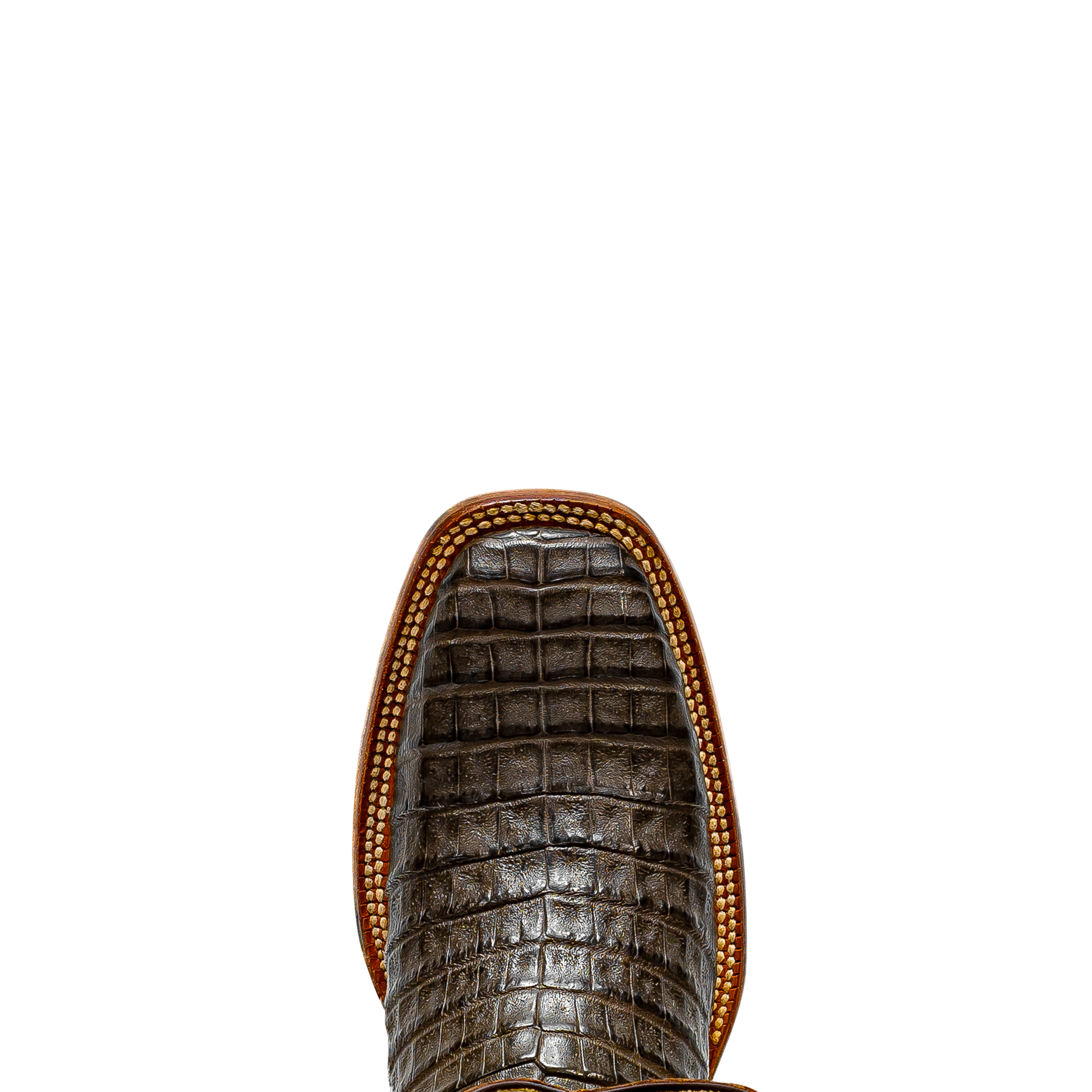 Rod Patrick RPM115 CHOCOLATE CAIMAN BELLY (AAAA)