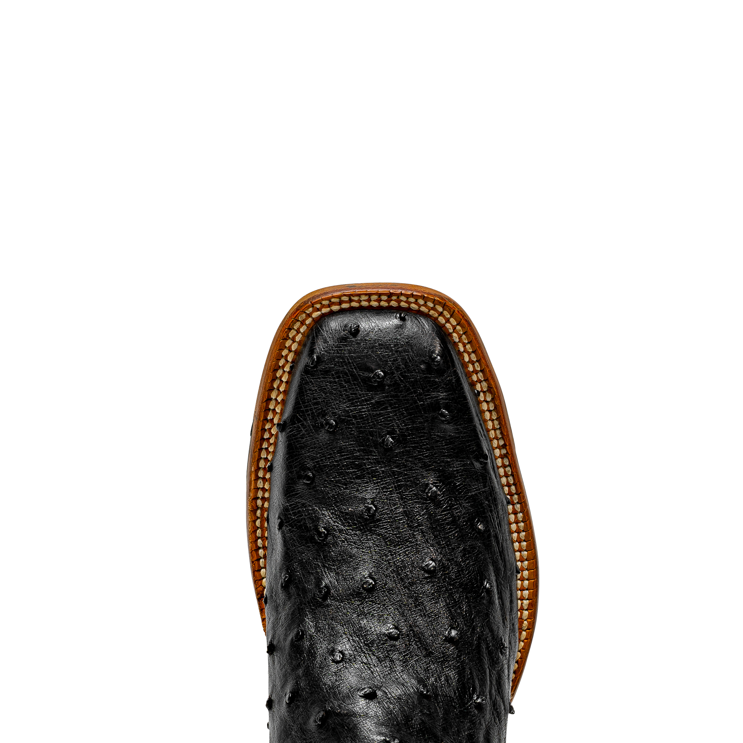 Rod Patrick RPM121 BLACK FULL QUILL OSTRICH (AA)