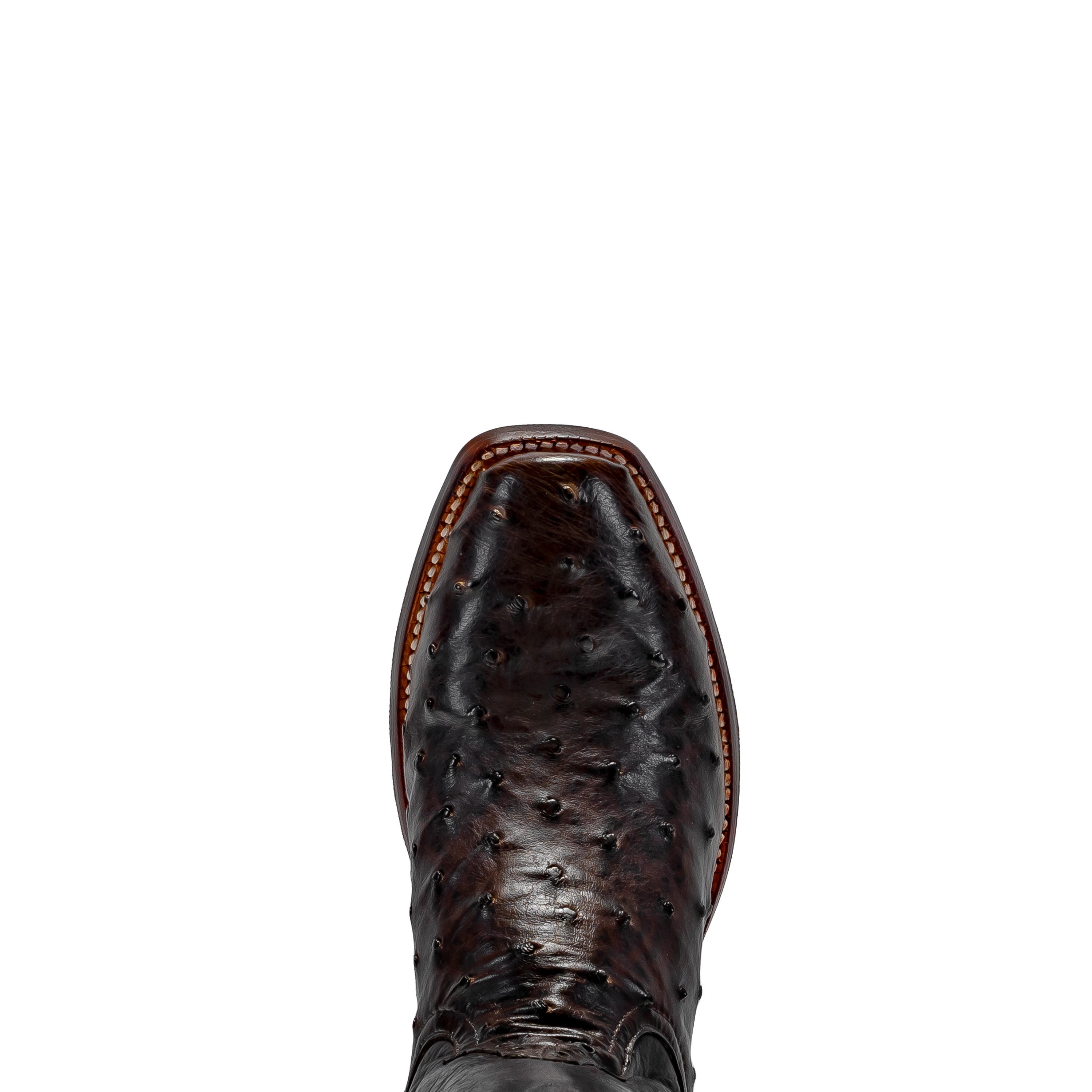 Rod Patrick RPM136 NICOTINE FULL QUILL OSTRICH (AA)