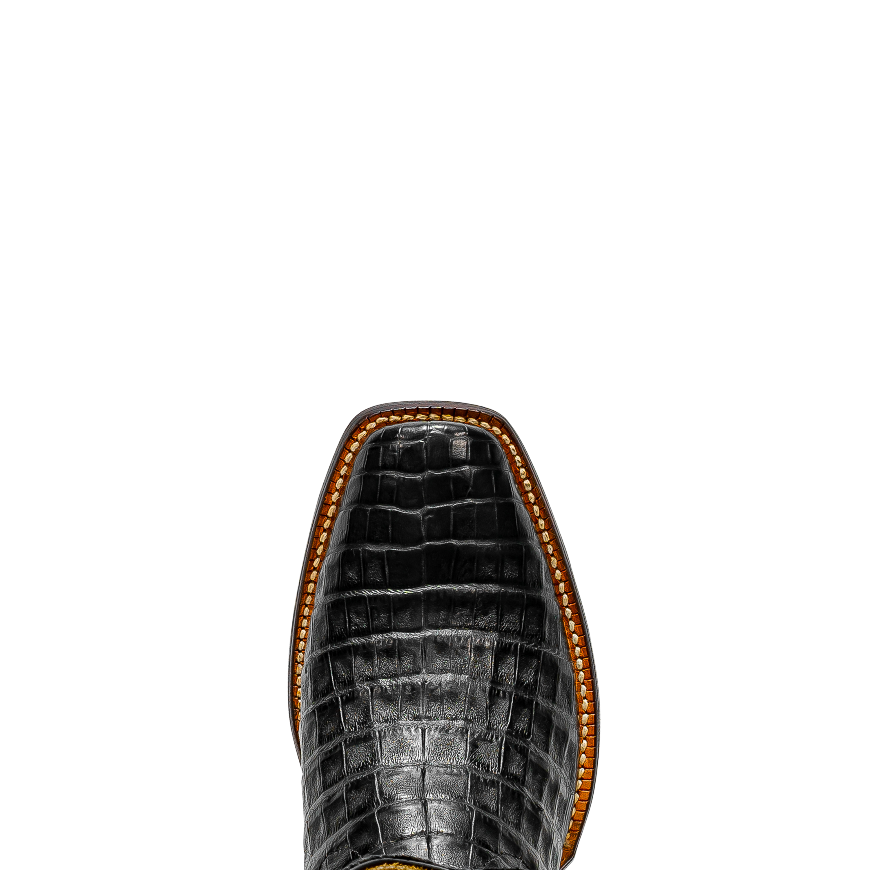 Rod Patrick RPM140 BLACK CAIMAN BELLY (C)