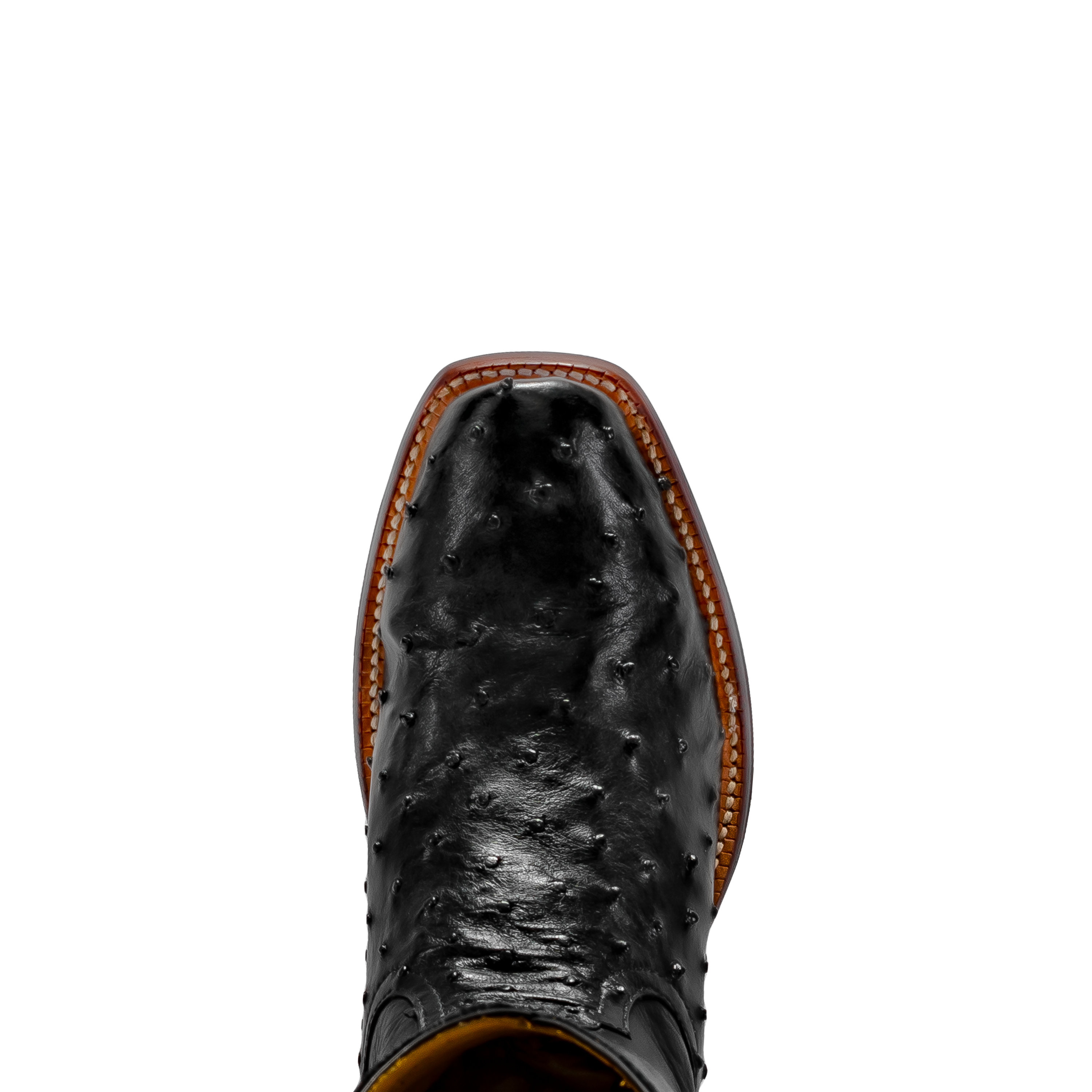 Rod Patrick RPM141 BLACK FULL QUILL OSTRICH (AAAAA)