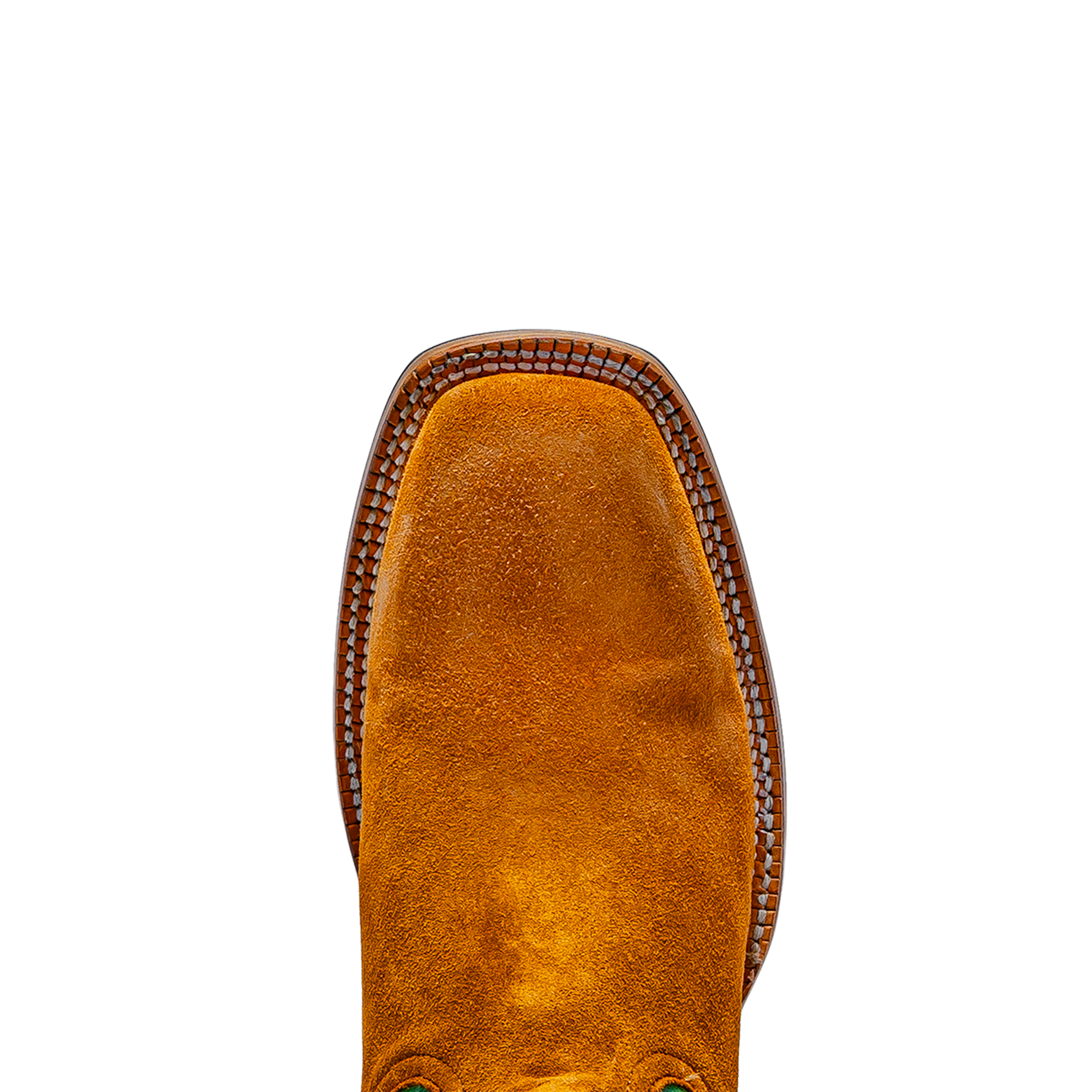Rod Patrick RPM142 HONEY CAYUSE REVERSED (D)