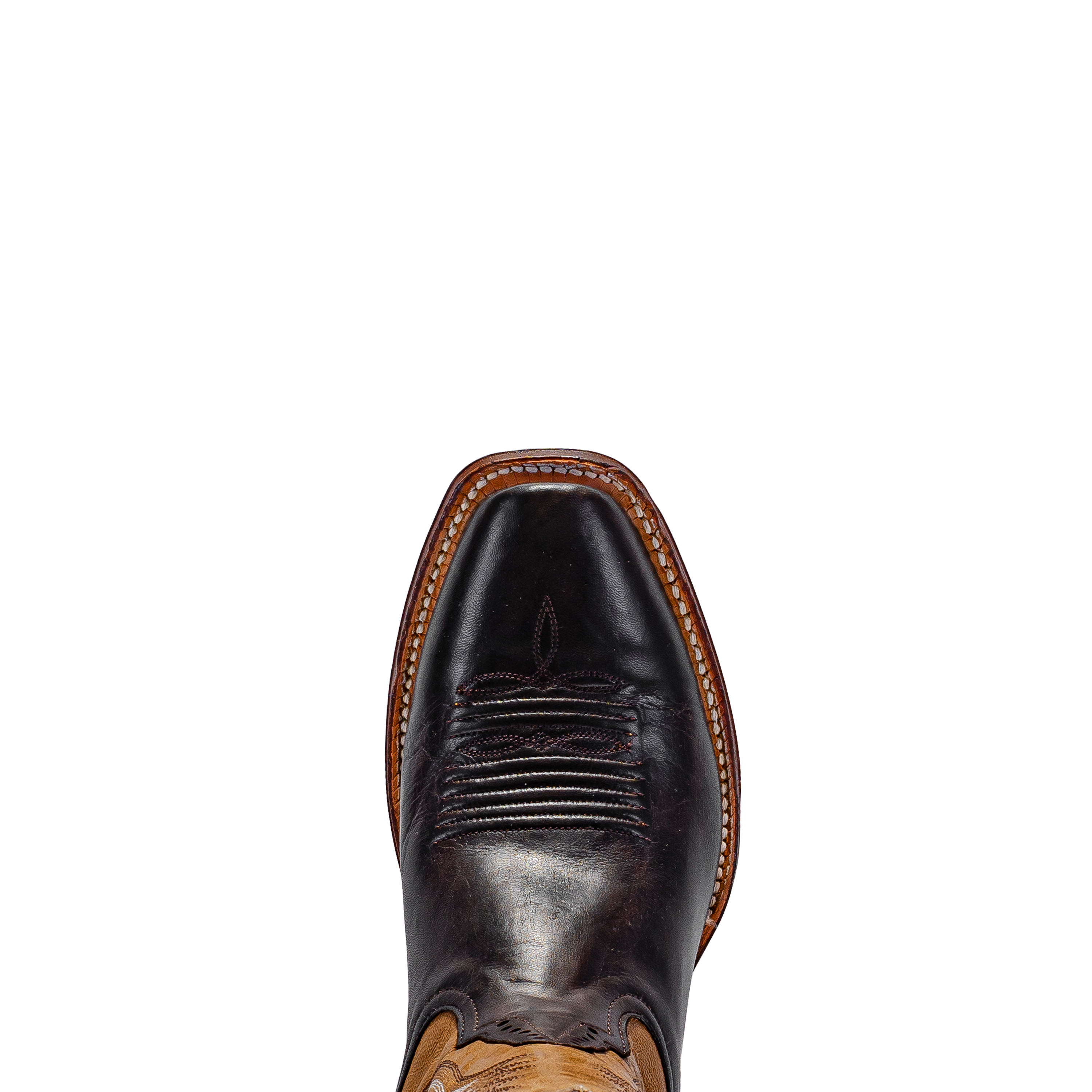 Rod Patrick RPM150 CHOCOLATE CAYUSE (E)