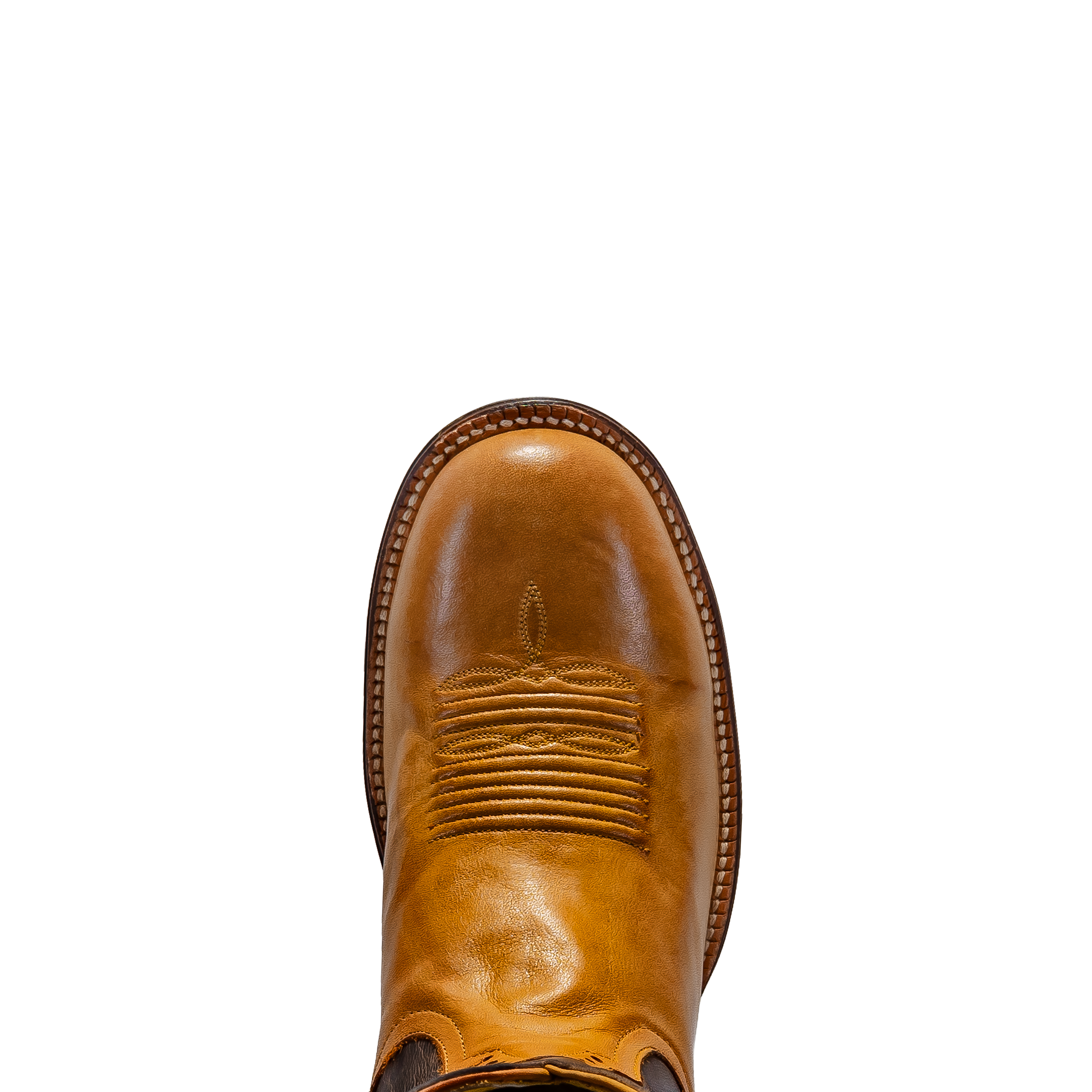 Rod Patrick RPM170 HONEY CAYUSE (EE)