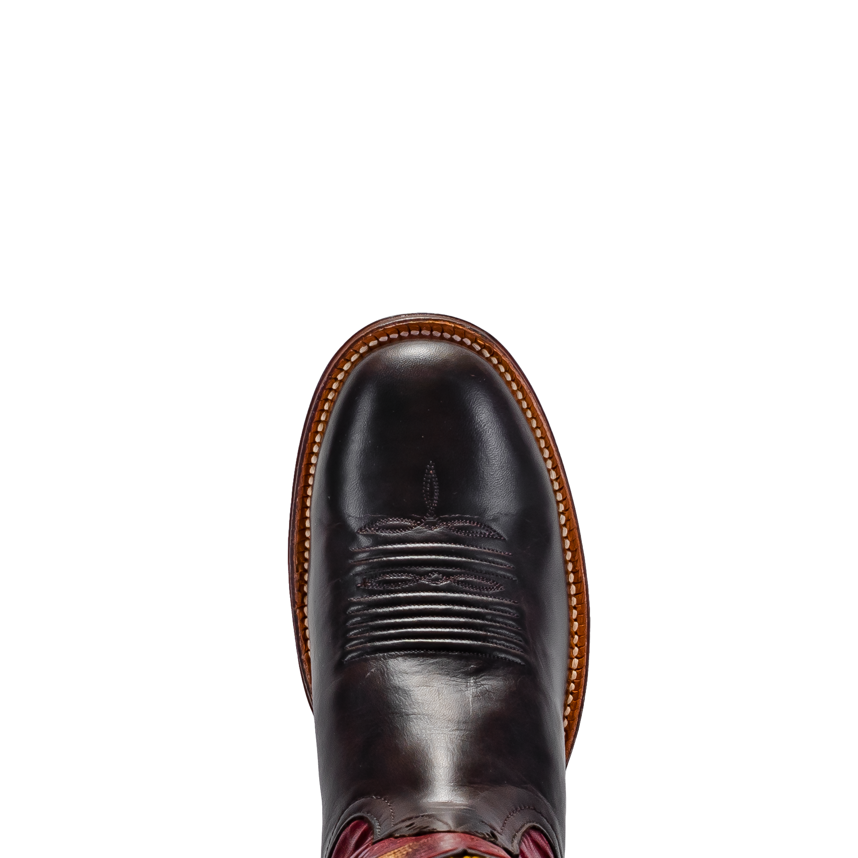 Rod Patrick RPM171 CHOCOLATE CAYUSE (D)