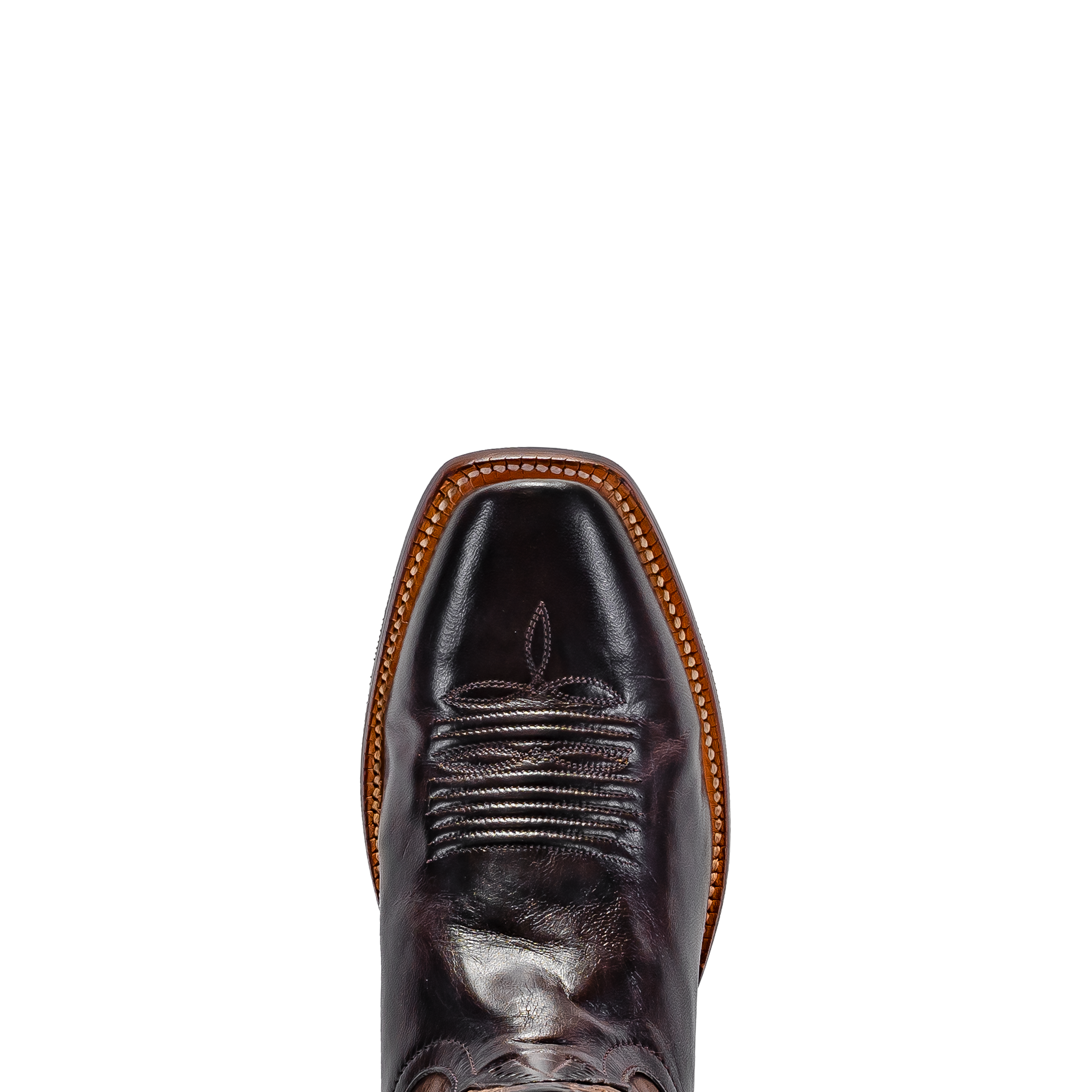Rod Patrick RPM174 CHOCOLATE CAYUSE (B)