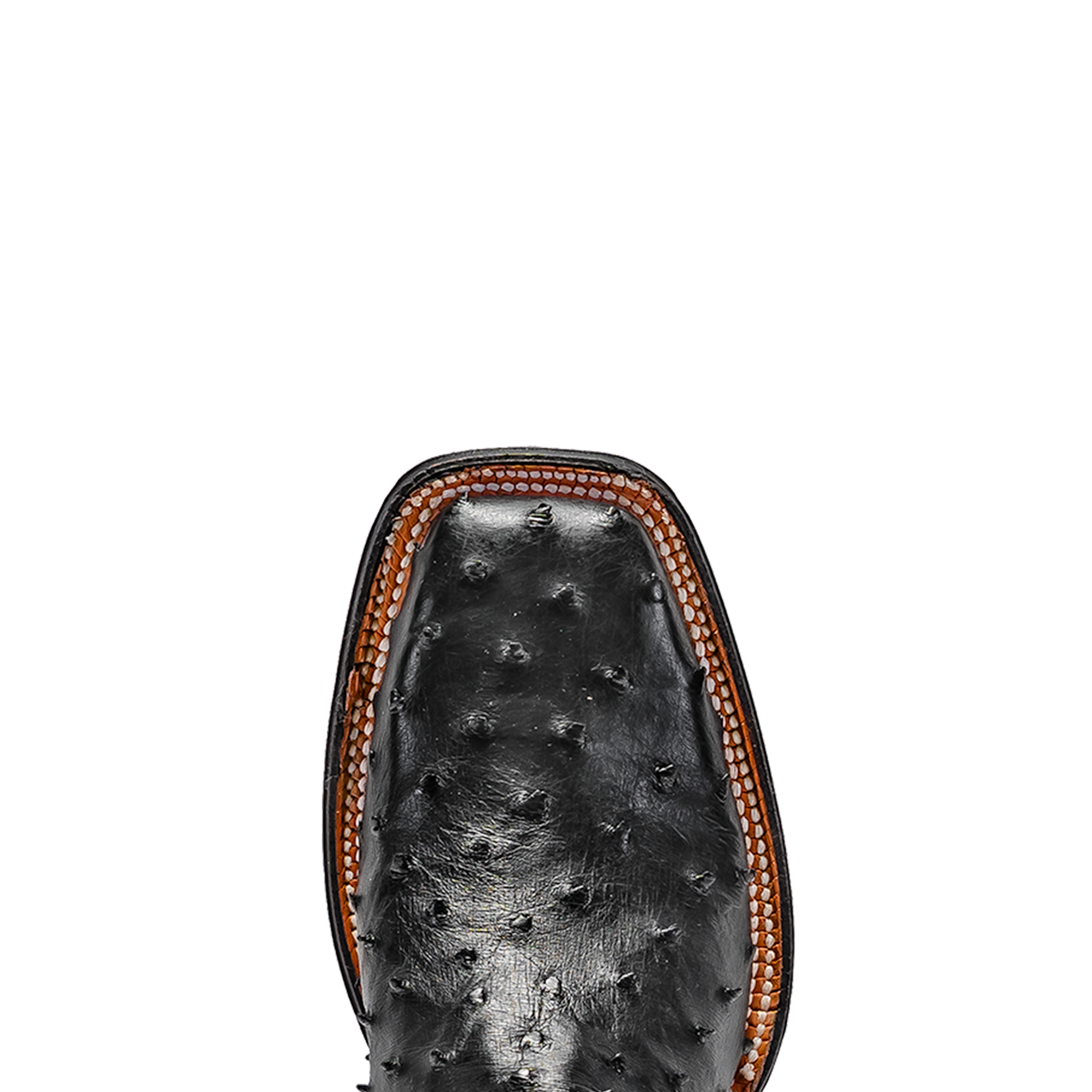 Rod Patrick RPM275 BLACK CC FULL QUILL OSTRICH (A)