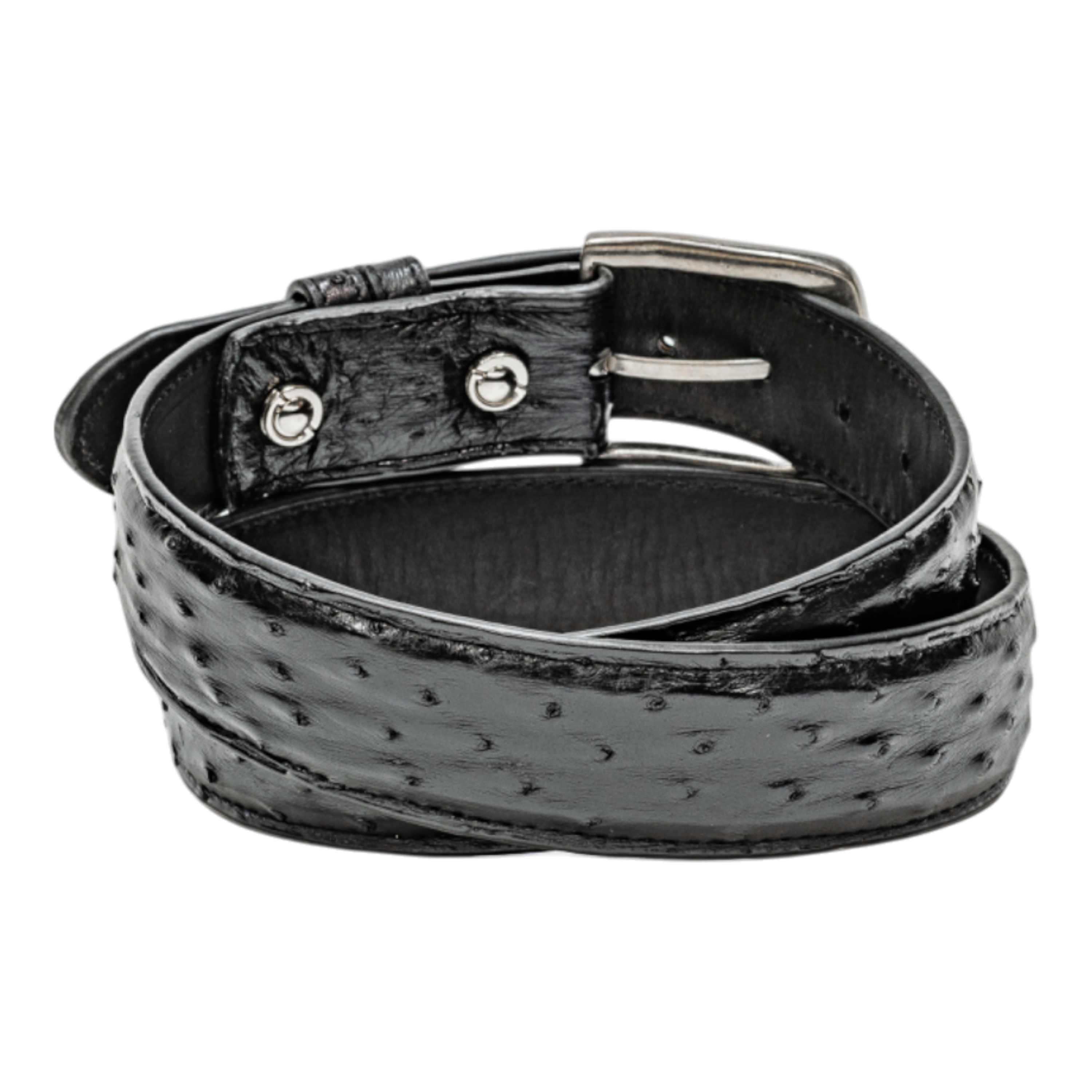 Belt 1.5 Straight - Black Full Quill Ostrich