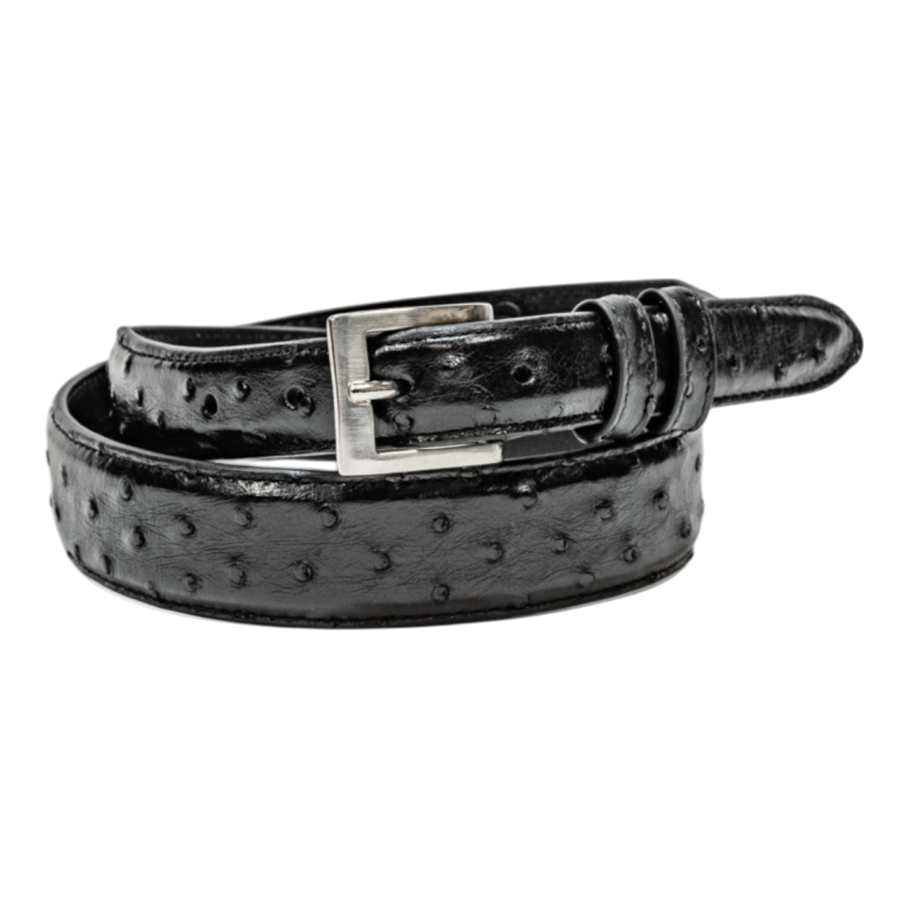 Belt 1.25 Taper - Black Full Quill Ostrich