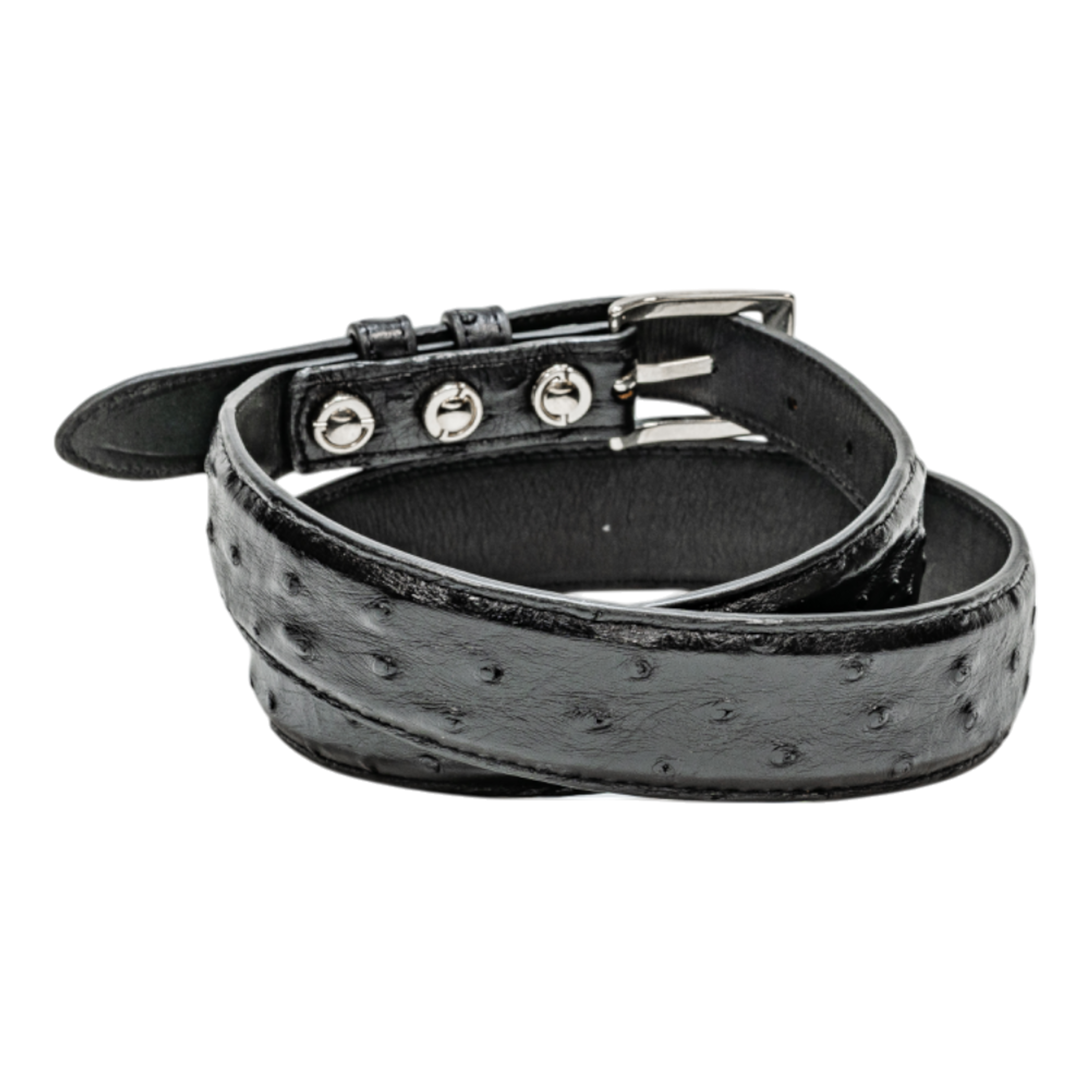 Belt 1.25 Taper - Black Full Quill Ostrich