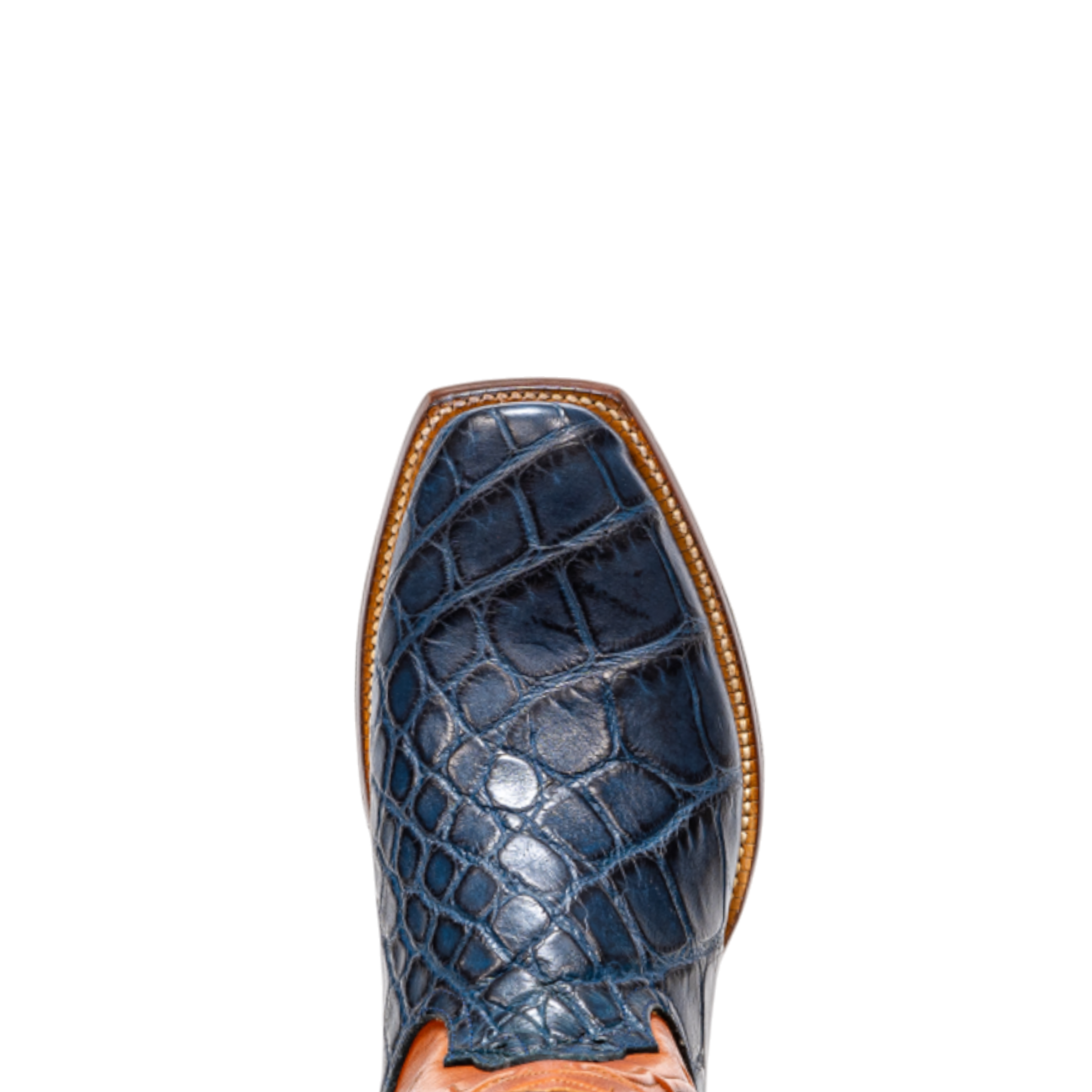 ROD PATRICK 20003 AMERICAN ALLIGATOR AZUL MASSIA (D)
