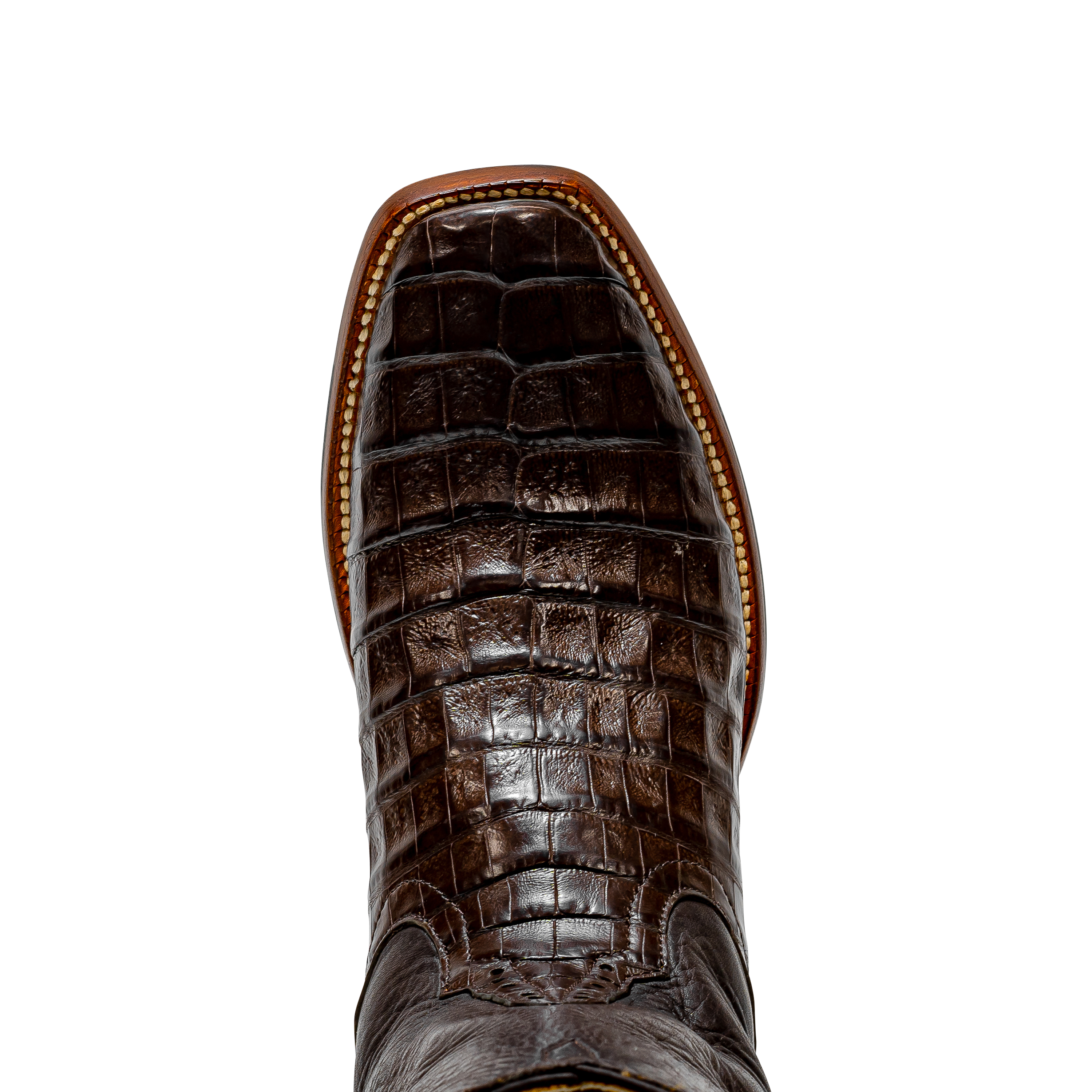 Rod Patrick RPM139 CHOCOLATE CAIMAN BELLY (A)