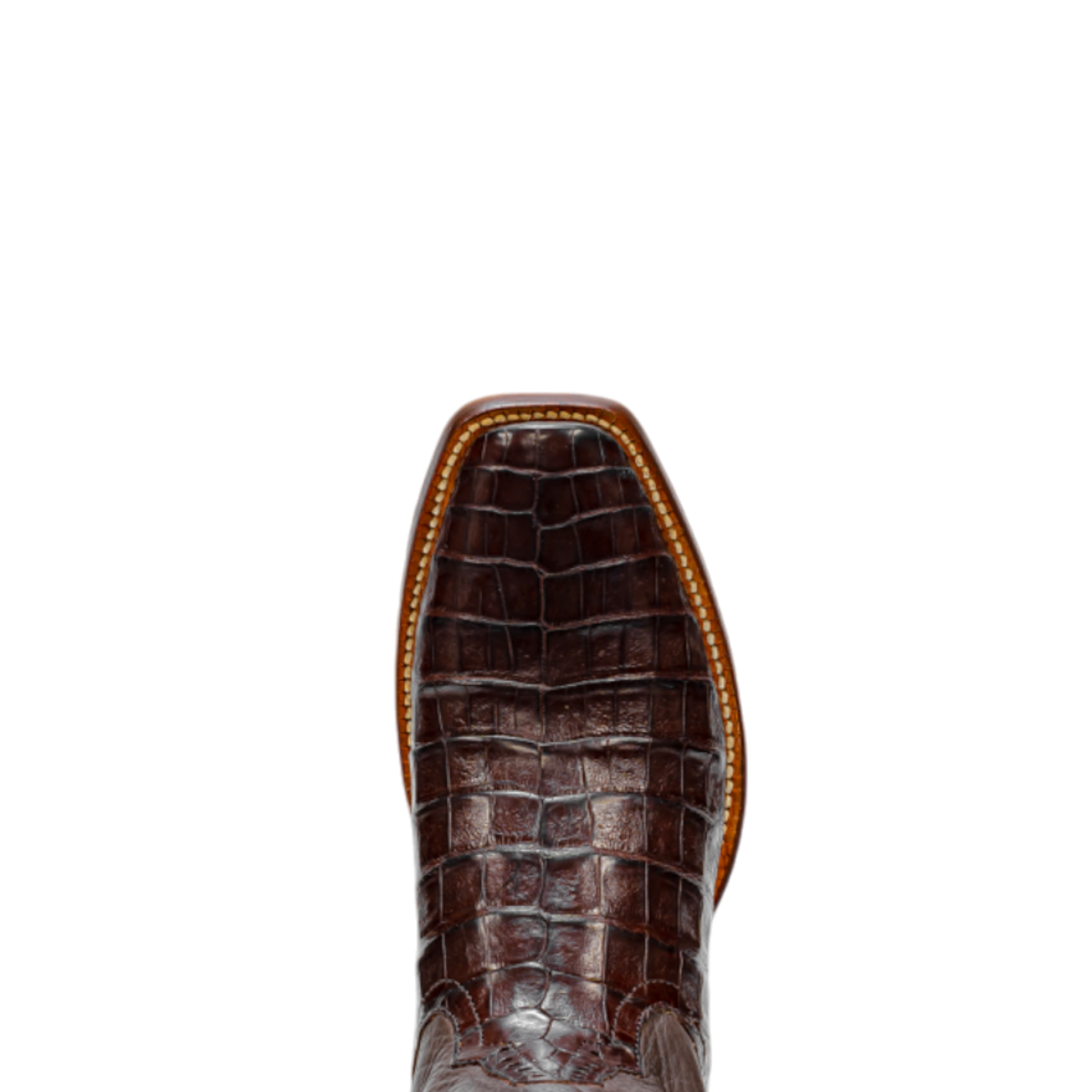 Rod Patrick RPM173 SIENNA BELLY CAIMAN (D)