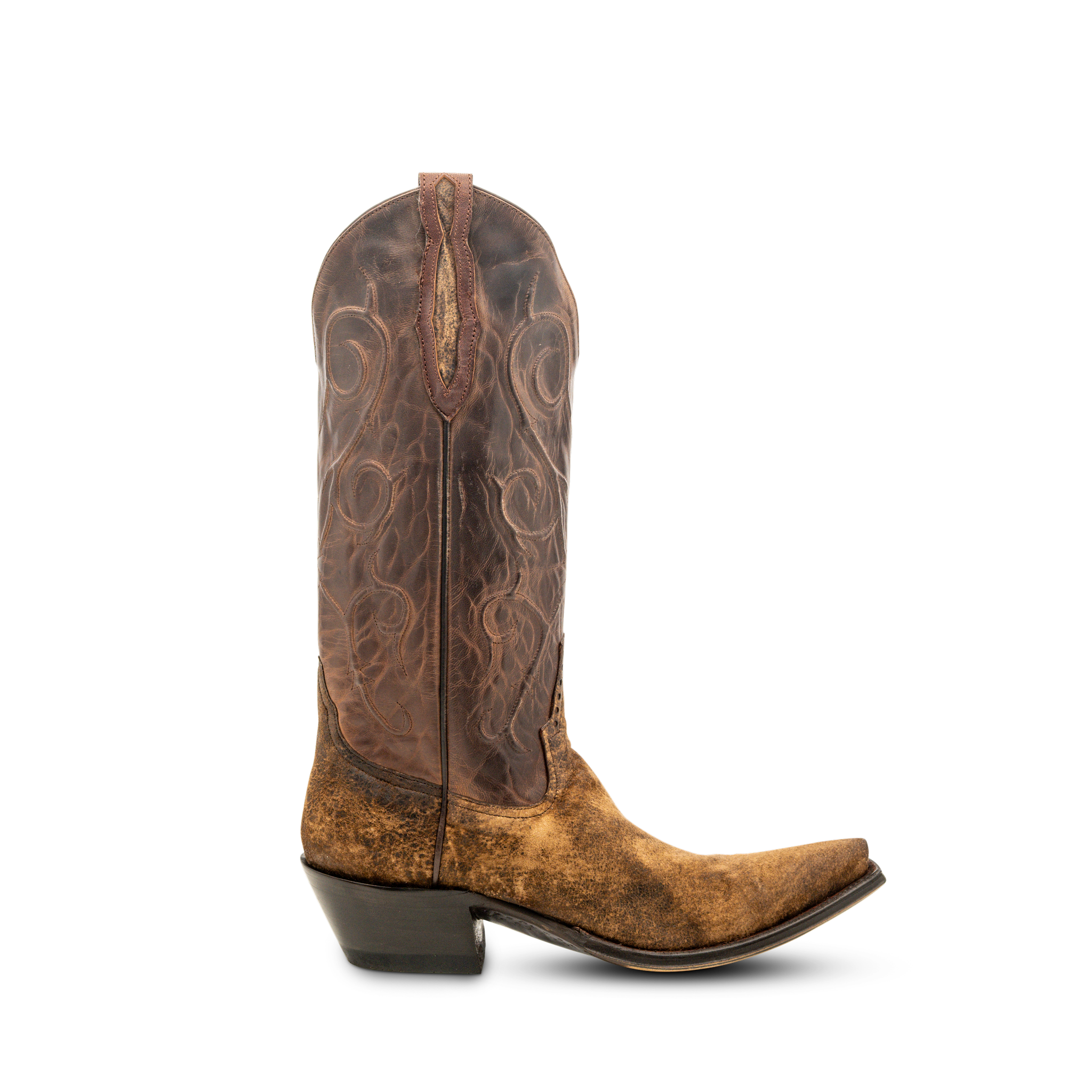 19852 CAMEL BREAK LAMB