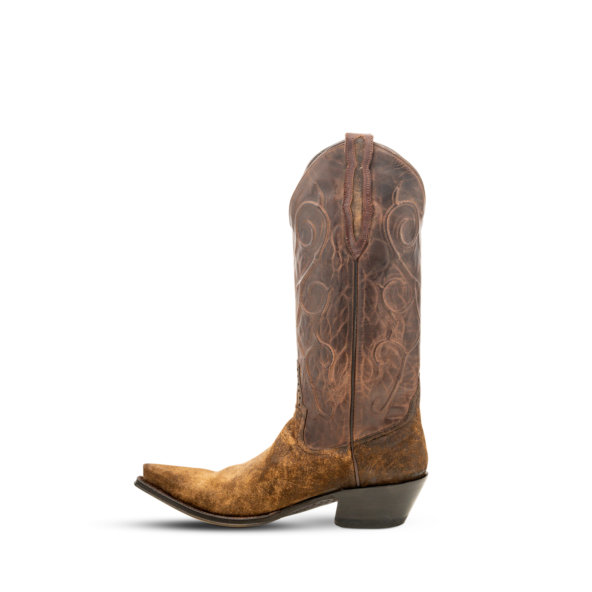 19852 CAMEL BREAK LAMB