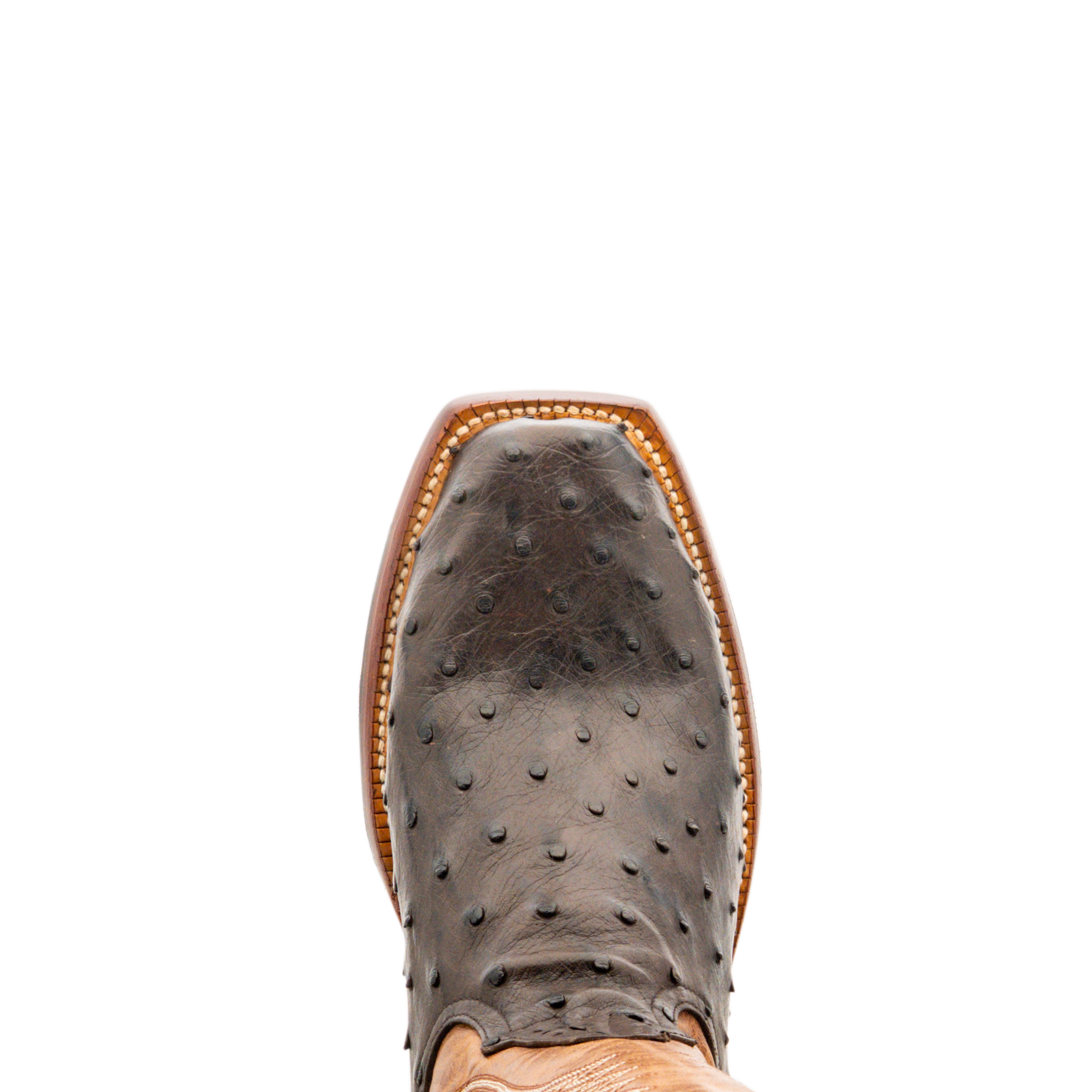 ROD PATRICK RPM479 NICOTINE FULL QUILL OSTRICH (A)