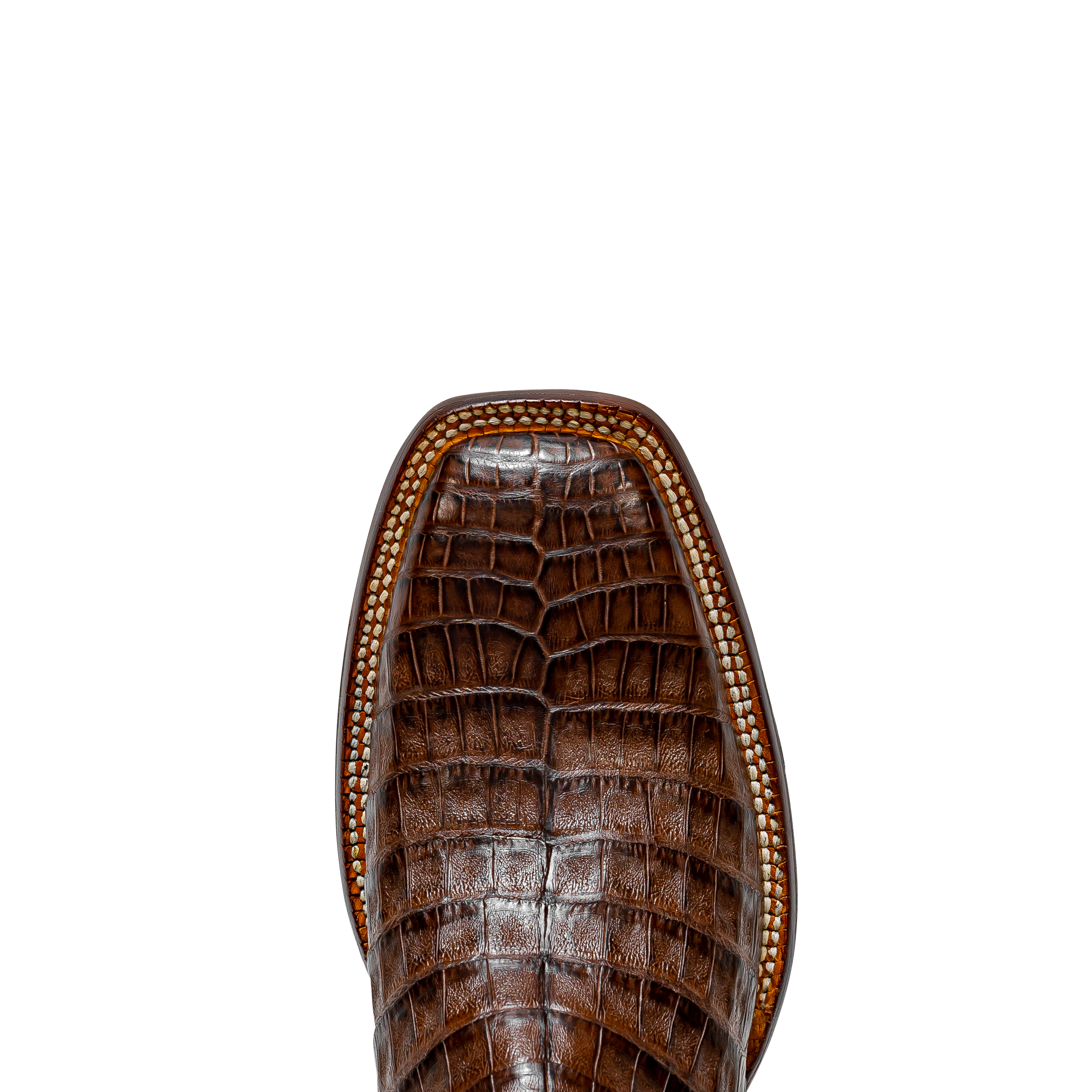 Rod Patrick RPM501 CIGAR BELLY CAIMAN (B)